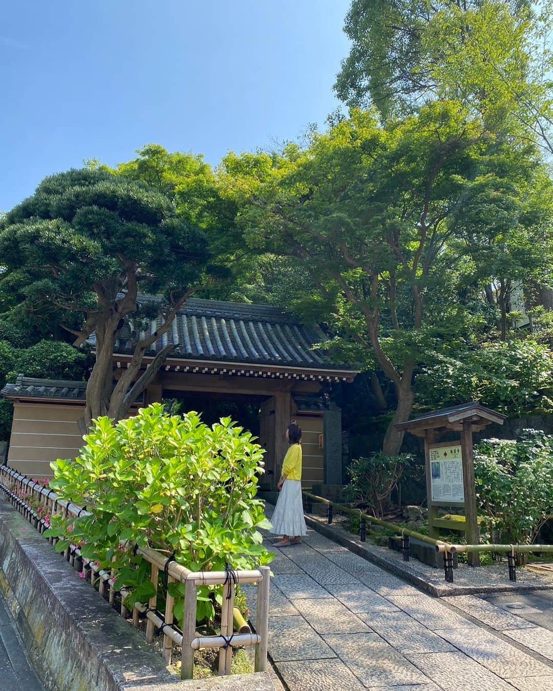 のインスタグラム：「先日鎌倉市観光協会さんで、 お庭のお手伝いやお花を飾させていただいてる報国寺さん　@houkokuji_official のお仕事をさせていただきました。お天気がよくて何より。 お寺に関わるたくさんの方が、心を込めて様々な形でお客様に喜んでいただくために力を発揮しているんだとあらためて知ることができた貴重な機会でした。 また記事がでたらお伝えします！ご一緒したみなさま、ありがとうございました。」