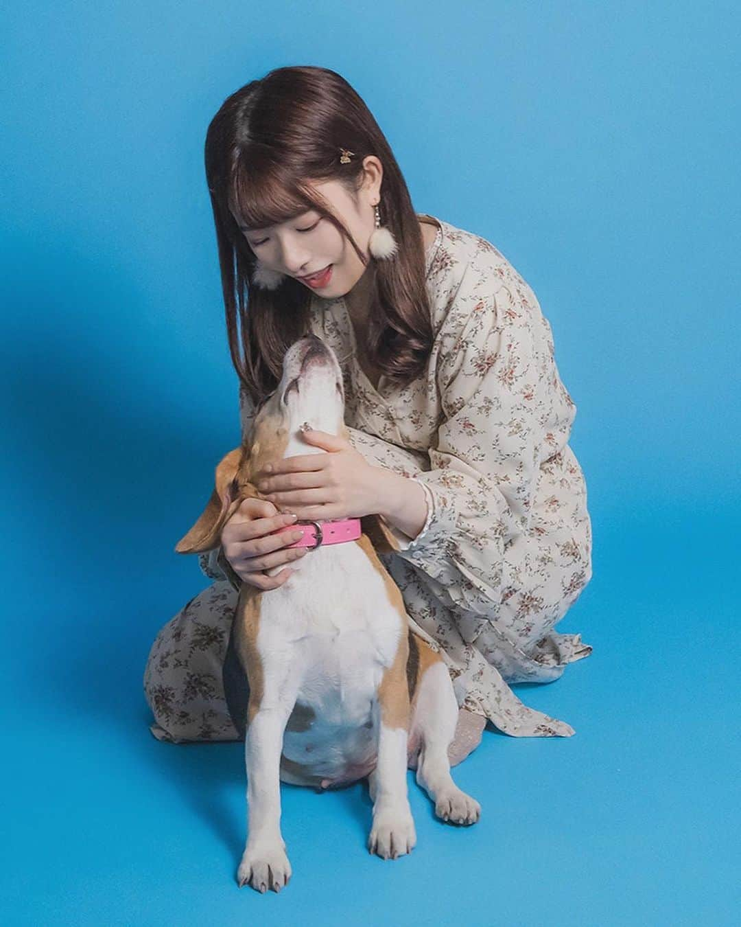 武藤小麟さんのインスタグラム写真 - (武藤小麟Instagram)「. オグリが8歳になりました！！ぱちぱち🐶🎂  先日、オグリと取材して頂いた『耳マン』さんに 掲載されていたお写真を高画質で頂いたので いっぱい載せちゃいます😚  オグリとこんな素敵な写真を たくさん撮れて、凄く嬉しくて、宝物です。🥰  これからもよろしくね、おぐたん🐶  #おりんとポケモン #ちがう  #愛犬 #ビーグル #犬 #わんちゃん #beegle #dog #肉球」5月23日 21時59分 - muto_orin