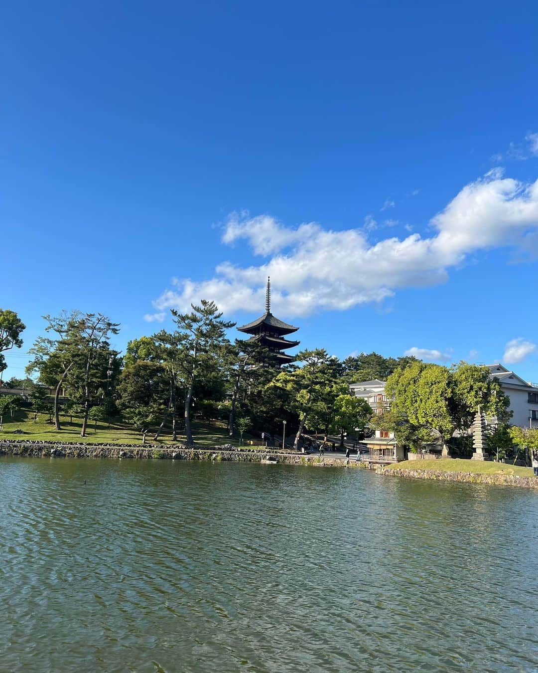 中村真央さんのインスタグラム写真 - (中村真央Instagram)「🌳🌱🫎🪽🩵💚」5月23日 22時10分 - mao_baby