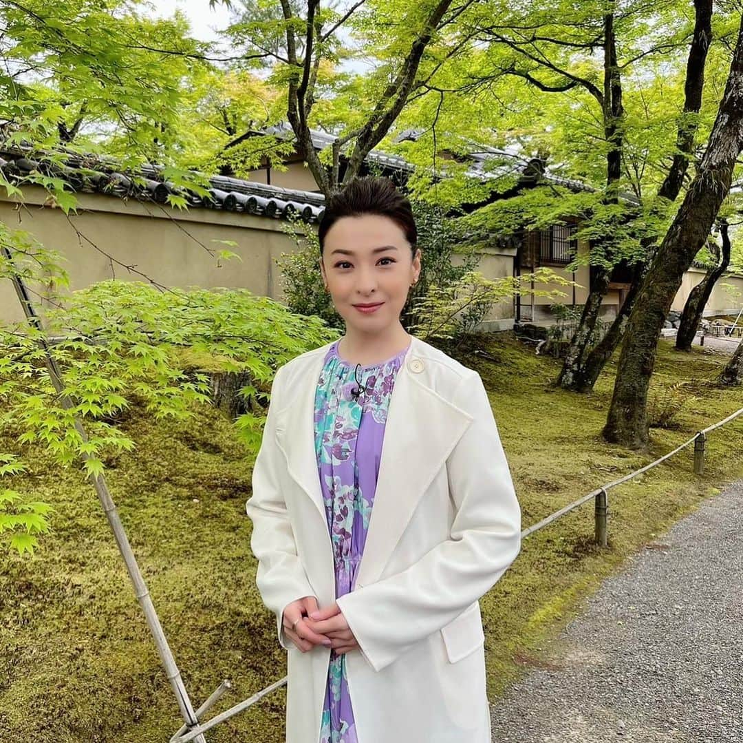 檀れいさんのインスタグラム写真 - (檀れいInstagram)「🌹🌹  新緑✨新緑✨ 新緑の美しい季節となりましたよ🌿  今回の京都ぶらり歴史探訪は…あ、いえいえ。 「あなたの知らない京都旅〜1200年の物語」に生まれ変わりました✨  さて今回の旅は、桜の京都ではなく 新緑の京都を巡ります✨  あらため新緑の美しさに酔いしれた旅と なりました✨  皆さん！ぜひご覧くださいね🌿  5月25日 木曜日‼️ BS朝日にて 21時放送 「あなたの知らない京都旅〜1200年の物語」  檀れい🌹  #檀れい #danrei #bs朝日 #あなたの知らない京都旅  #新緑 #癒されました #檀スタグラム」5月23日 22時13分 - danrei_official