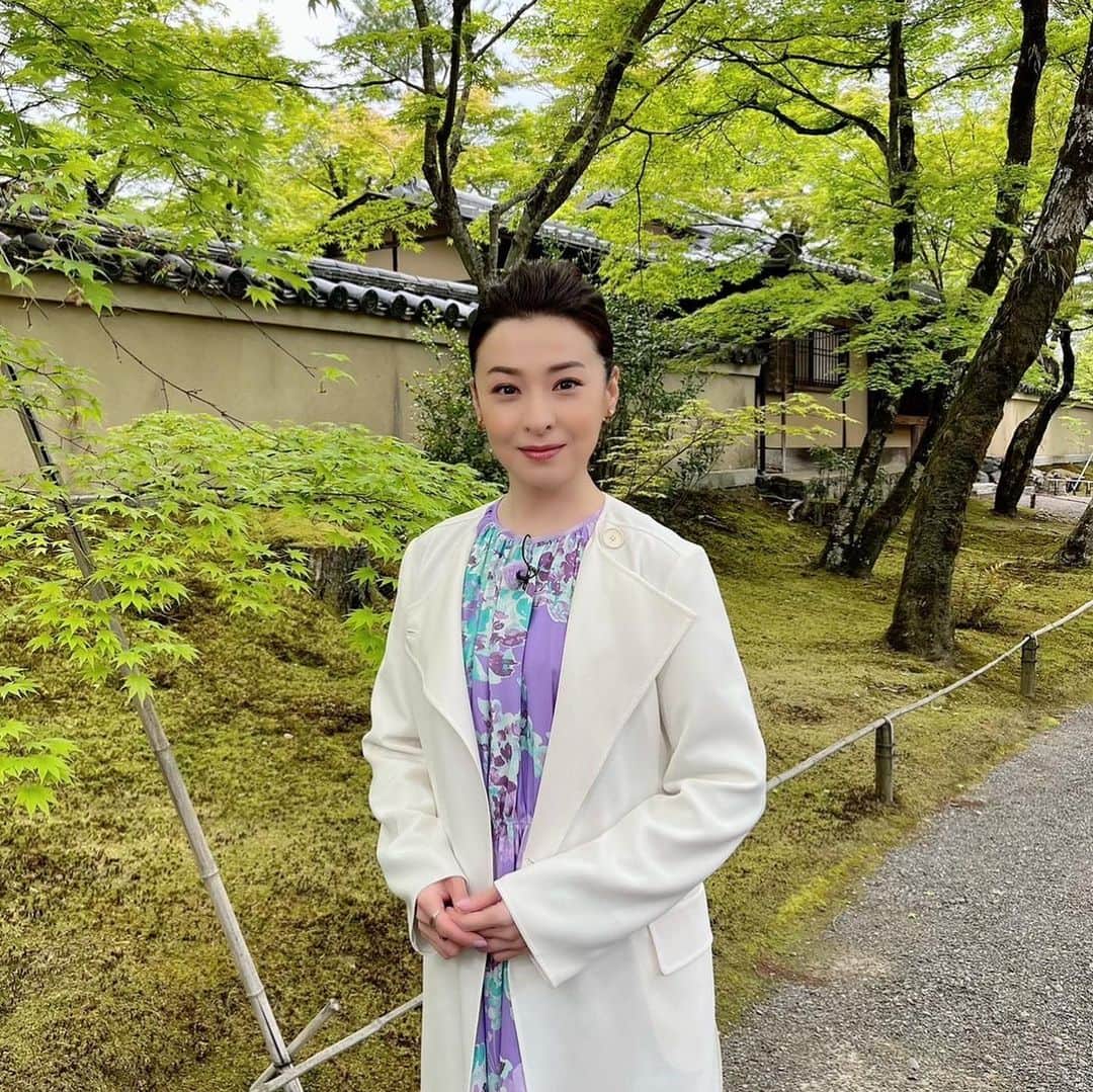 檀れいのインスタグラム：「🌹🌹  新緑✨新緑✨ 新緑の美しい季節となりましたよ🌿  今回の京都ぶらり歴史探訪は…あ、いえいえ。 「あなたの知らない京都旅〜1200年の物語」に生まれ変わりました✨  さて今回の旅は、桜の京都ではなく 新緑の京都を巡ります✨  あらため新緑の美しさに酔いしれた旅と なりました✨  皆さん！ぜひご覧くださいね🌿  5月25日 木曜日‼️ BS朝日にて 21時放送 「あなたの知らない京都旅〜1200年の物語」  檀れい🌹  #檀れい #danrei #bs朝日 #あなたの知らない京都旅  #新緑 #癒されました #檀スタグラム」