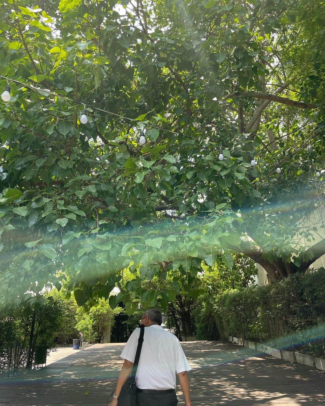 松田青子のインスタグラム：「Still thinking of you, Thailand🌿」