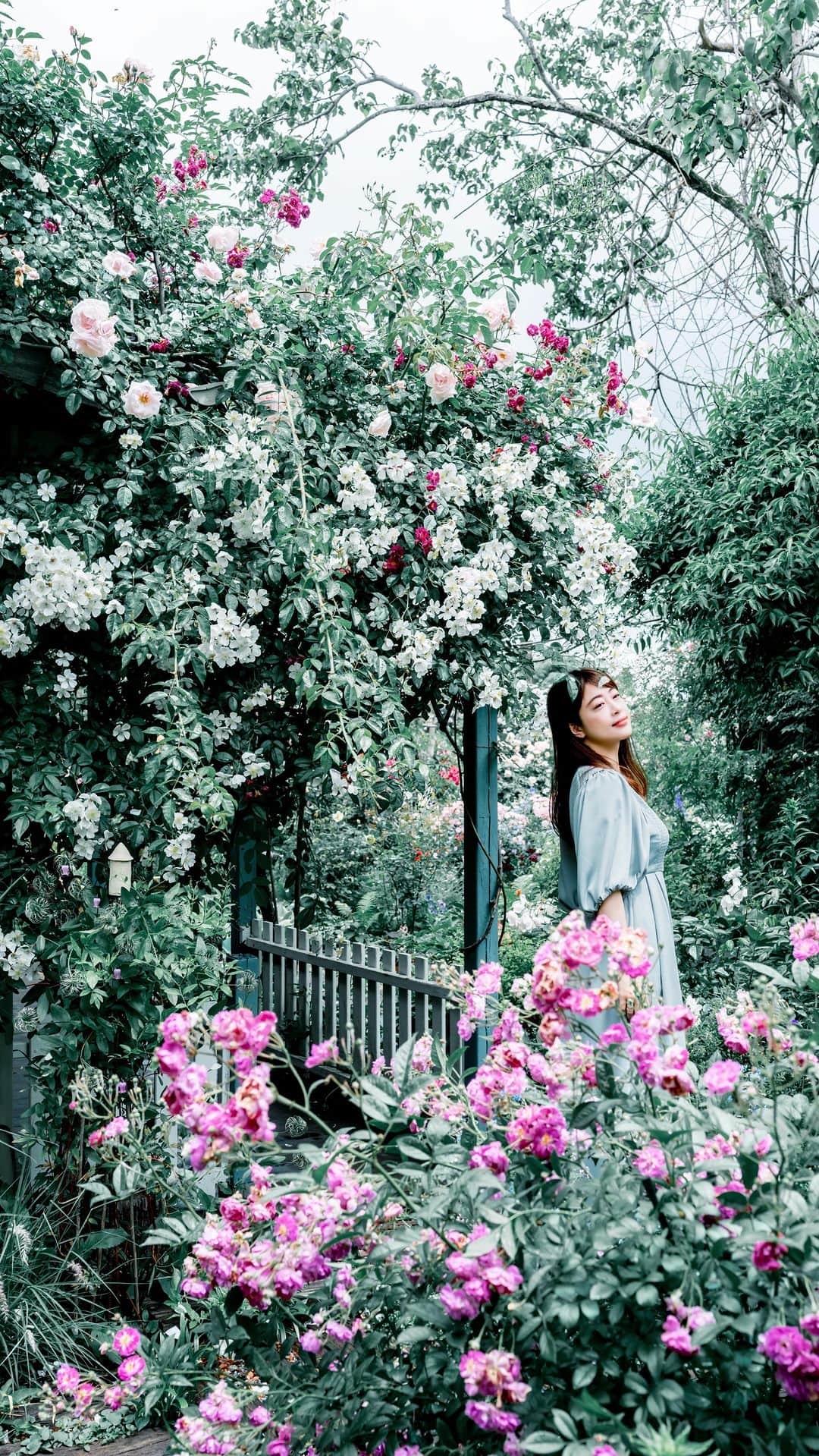 shabonのインスタグラム：「* . . . . . 素敵な空間にため息ばかり でした😮‍💨💗 . . model : @kozuekawabe  . . FUJIFILM X-T5 /  XF16-55mm F2.8 R LM WR XF23mm F1.4 R . . . . . . *」