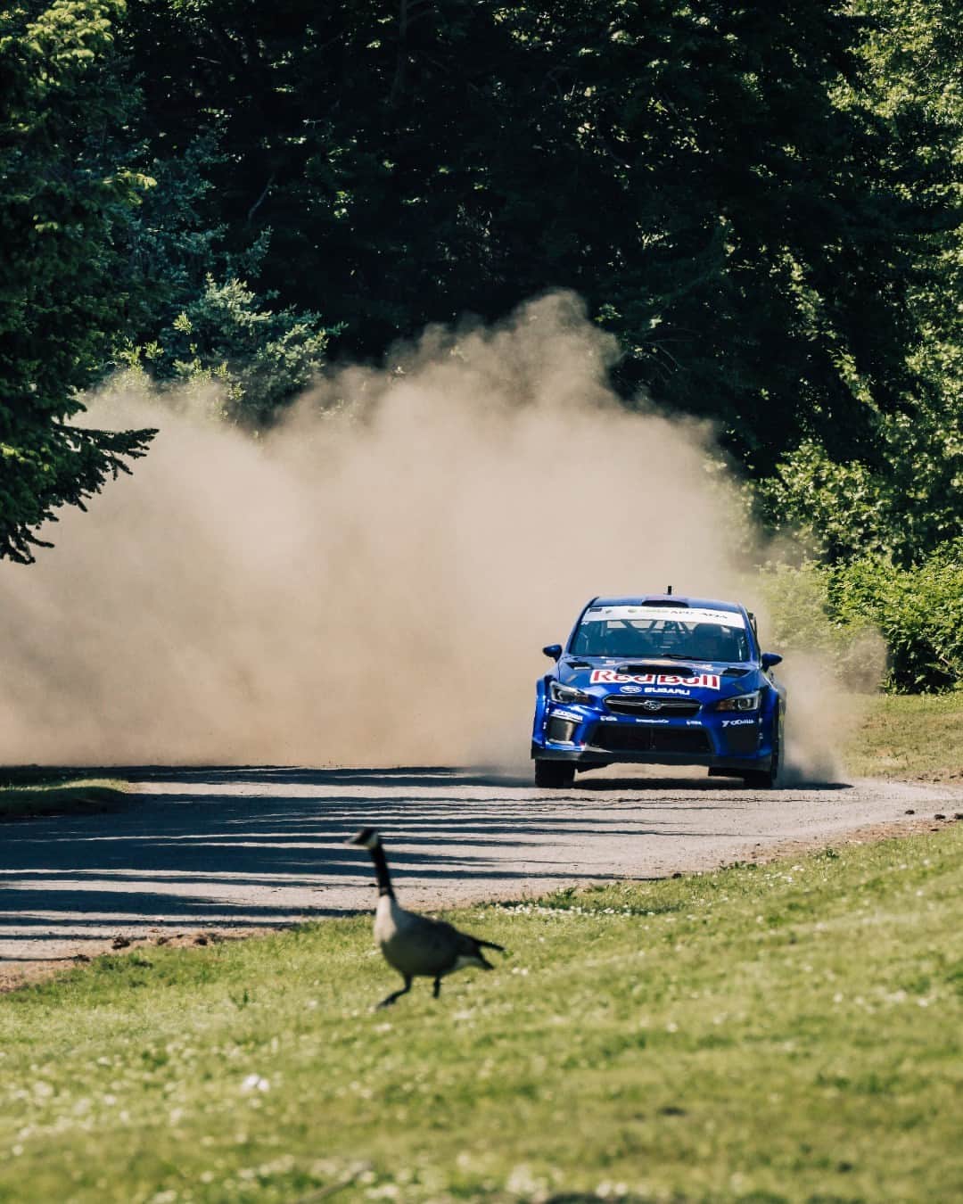 Subaru of Americaさんのインスタグラム写真 - (Subaru of AmericaInstagram)「Drop some 🍾🍾🍾 for @subarumotorsportsusa drivers @brandonsemunuk and co-driver @keatonwilliams_  for their overall win at the Oregon Trail Rally over the weekend! The team is in first place in the 2023 @ara_rally Championship after their fourth straight win, amid a cloud of dust and unseasonably warm Pacific Northwest weather.」5月23日 22時55分 - subaru_usa