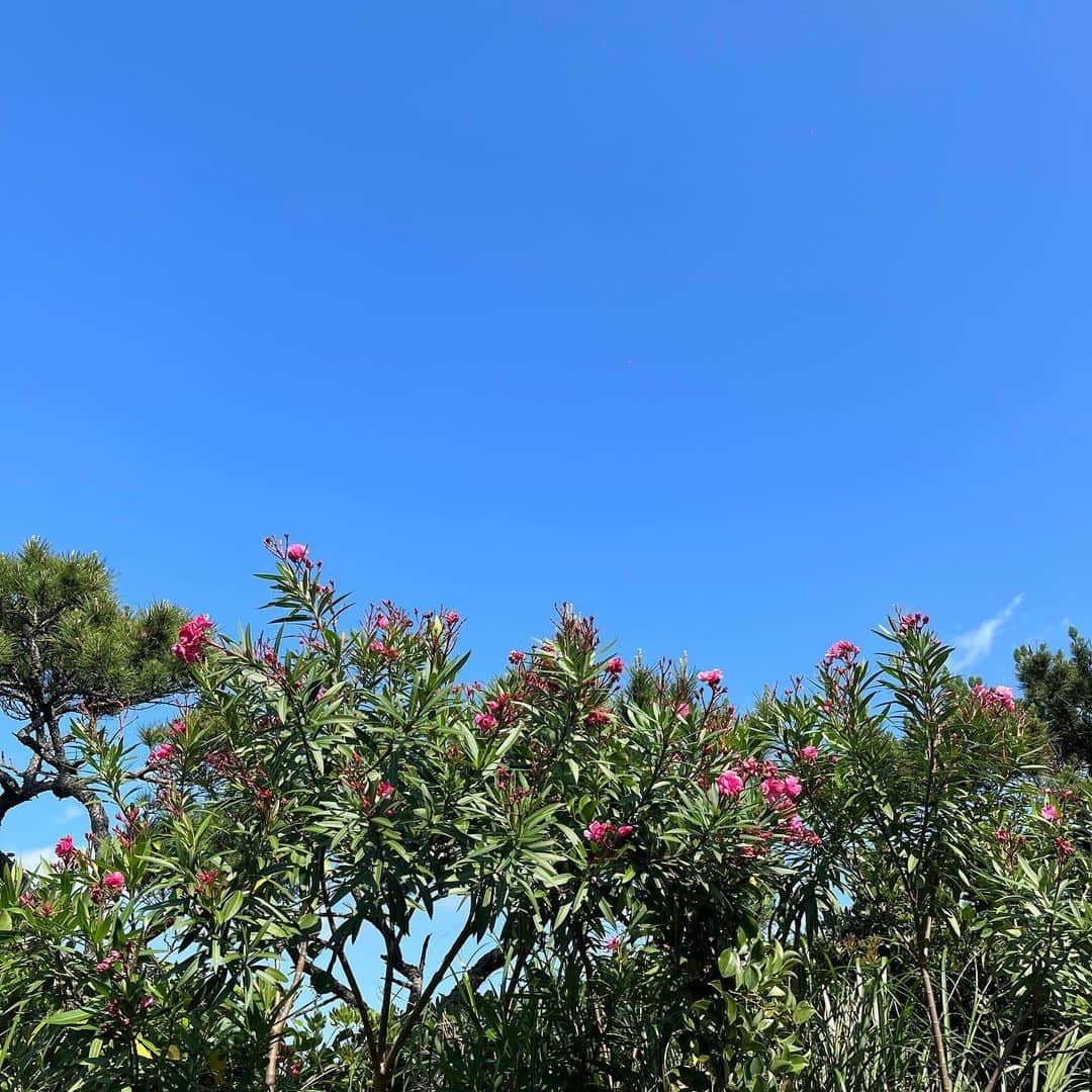 那須泰斗さんのインスタグラム写真 - (那須泰斗Instagram)5月24日 10時39分 - nasu__taito