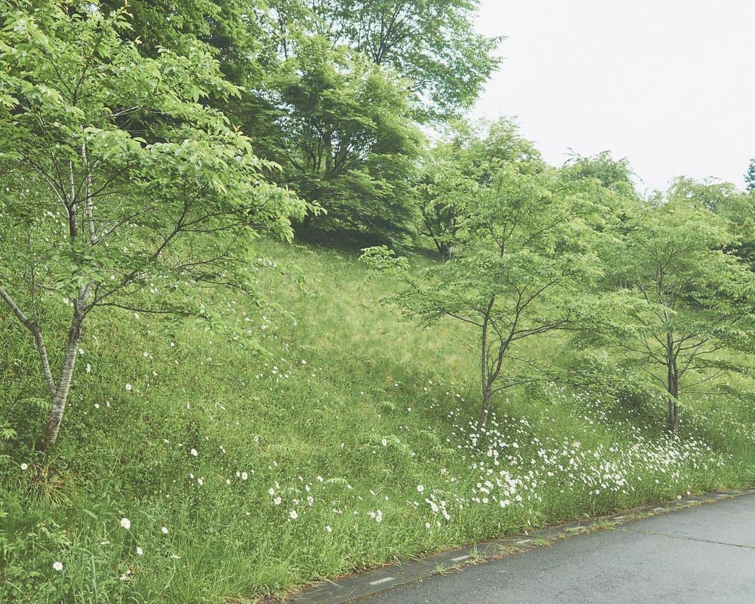 大塚 健太郎さんのインスタグラム写真 - (大塚 健太郎Instagram)「#parsonalworks」5月24日 11時09分 - ao525