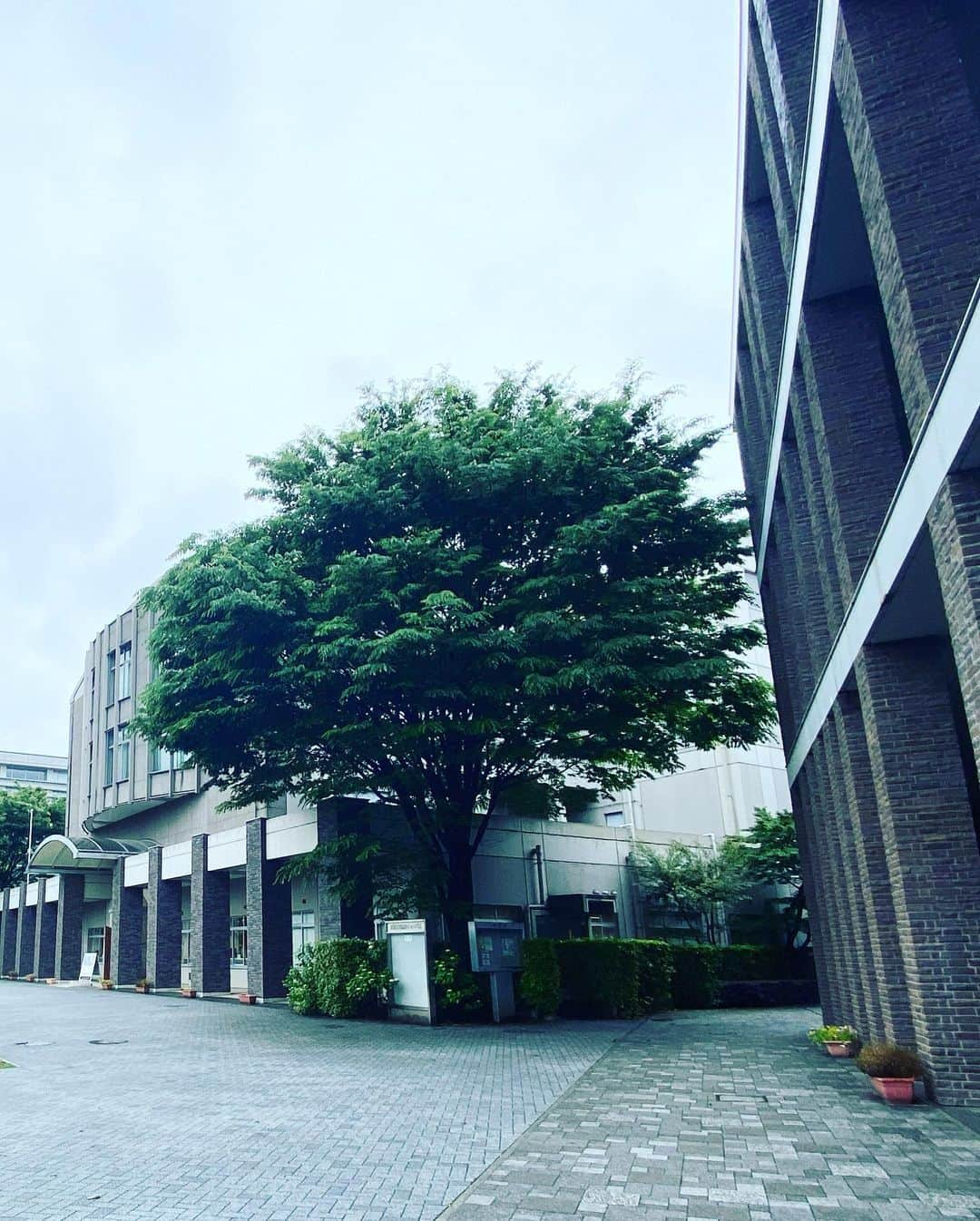 小林希さんのインスタグラム写真 - (小林希Instagram)「昨日は母校の立教大学にて、現代心理学部の授業で講義させていただきました。 年に一度の機会で、今年で8年目となりました。 テーマは「キャリアと心理学」ですが、 私は心理学の専門職に就いているわけではないし、 文筆家として話すには多岐にわたって お仕事をしているので、 お仕事の話というよりは、 こんなふうに生きてる人がいるよー という一つの事例として、 小林希のこれまでの「道」を追体験というか、一緒に旅するように感じてもらいたいと思いました。  心は生もので、けっしておざなりにしてはならない自分の一部。 それぞれ違って当たり前の世界で、自分がどう選択していくのか。 無常の世で支えとなるものを、しっかりと、つよく、やさしく、しなやかに育てていってほしいなと思います。 かわいい後輩たちに、少しでも生きるヒントが伝わったらいいな。 いつでも相談しにきてね☺️  #立教大学 #現代心理学部  #新座キャンパス」5月24日 11時18分 - nozokoneko