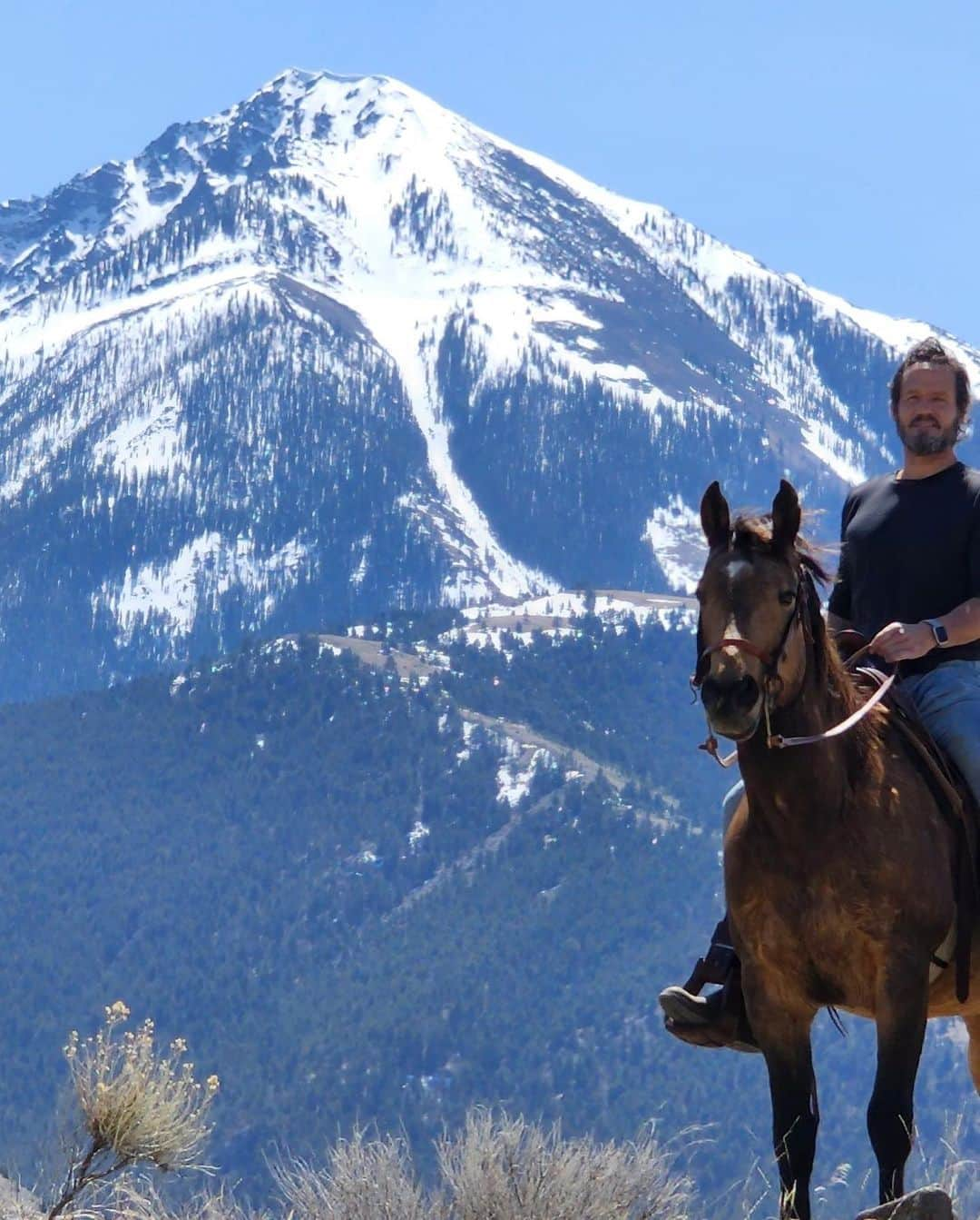 ジョシュ・ホプキンスのインスタグラム：「Been a bit since I went riding.」