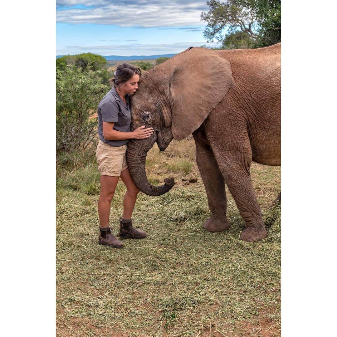 スティーブ・マカリーのインスタグラム：「Recognizing and paying tribute to those who care for and protect elephants that have been orphaned because of poachers. It is impossible to comprehend why people in 2023, would kill these noble animals for sport and their tusks.  Eastern Cape, South Africa, 2023.」