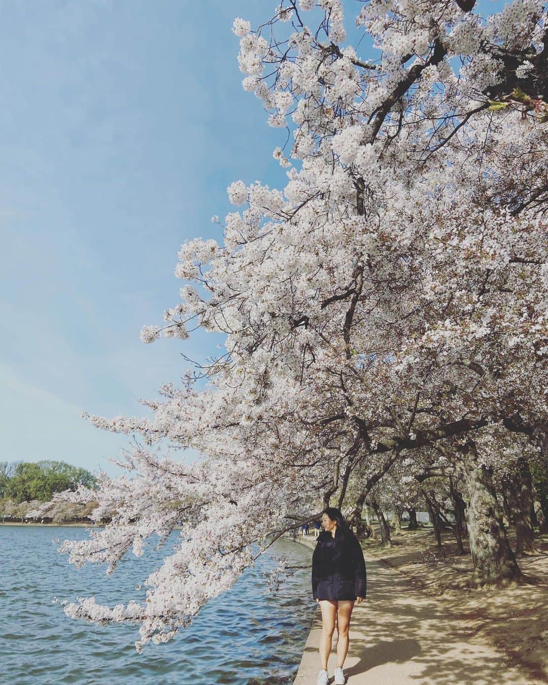 西畑萌香さんのインスタグラム写真 - (西畑萌香Instagram)「some spring things 🌸🍨🍒」5月24日 7時11分 - moeka0412n