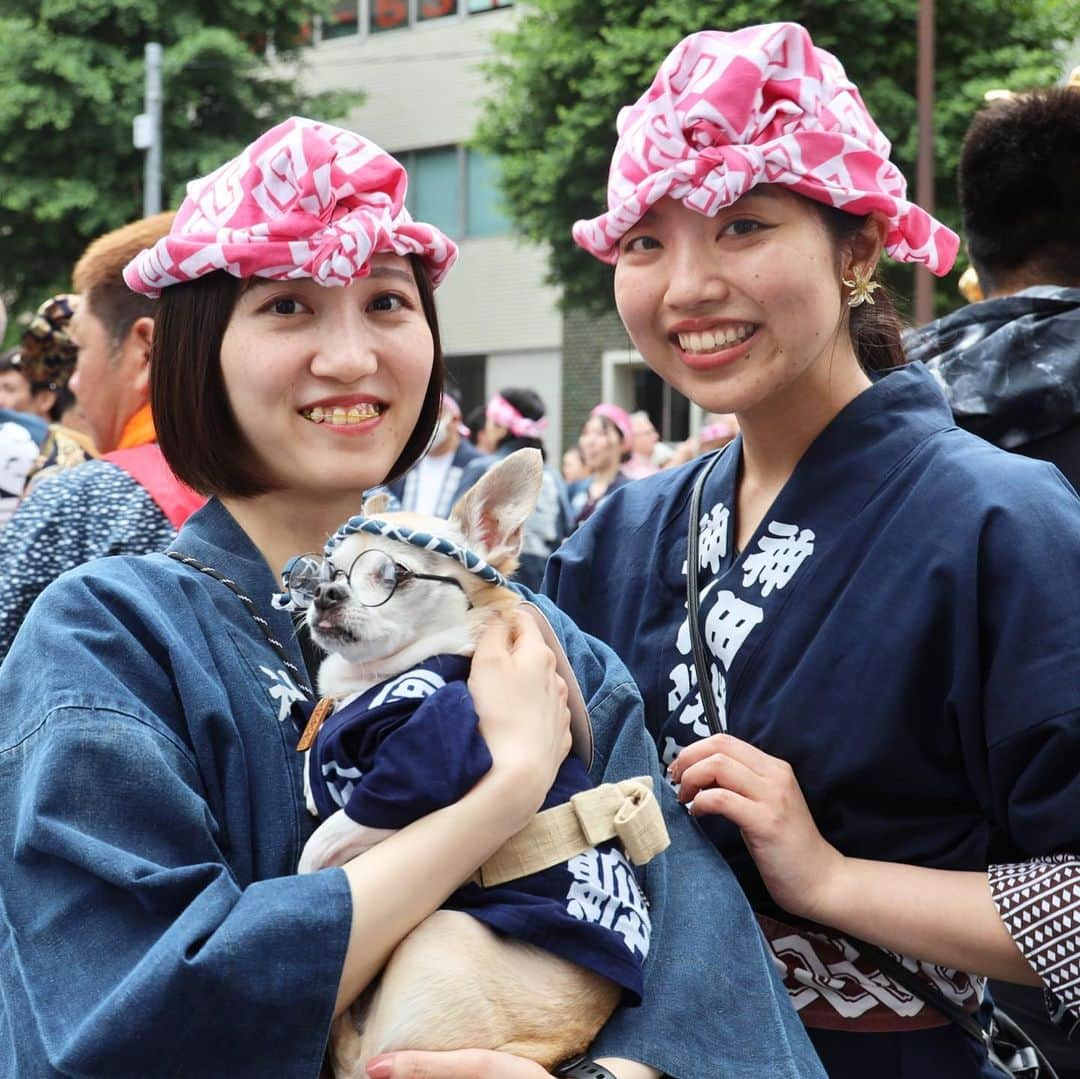 紋次郎さんのインスタグラム写真 - (紋次郎Instagram)「神田祭な人たち みんないい顔してるなあ😊👍 本当は1枚ずつ投稿したいけど、子供バージョンとか三社祭編もあるから、あとはストーリーでやろうかな  #dog#dogstagram#instadog#chihuahua#barkbox#mydogiscutest#buzzfeed#dog_features#fluffypack#barkpack#dogsofinstagram#犬#チワワ#手作り#handmade#着物#fashion#紋次郎一家#チーム茶#ふわもこ部#igersjp#peco犬部#dogfashion #whisky#神田祭」5月24日 7時17分 - montjiro