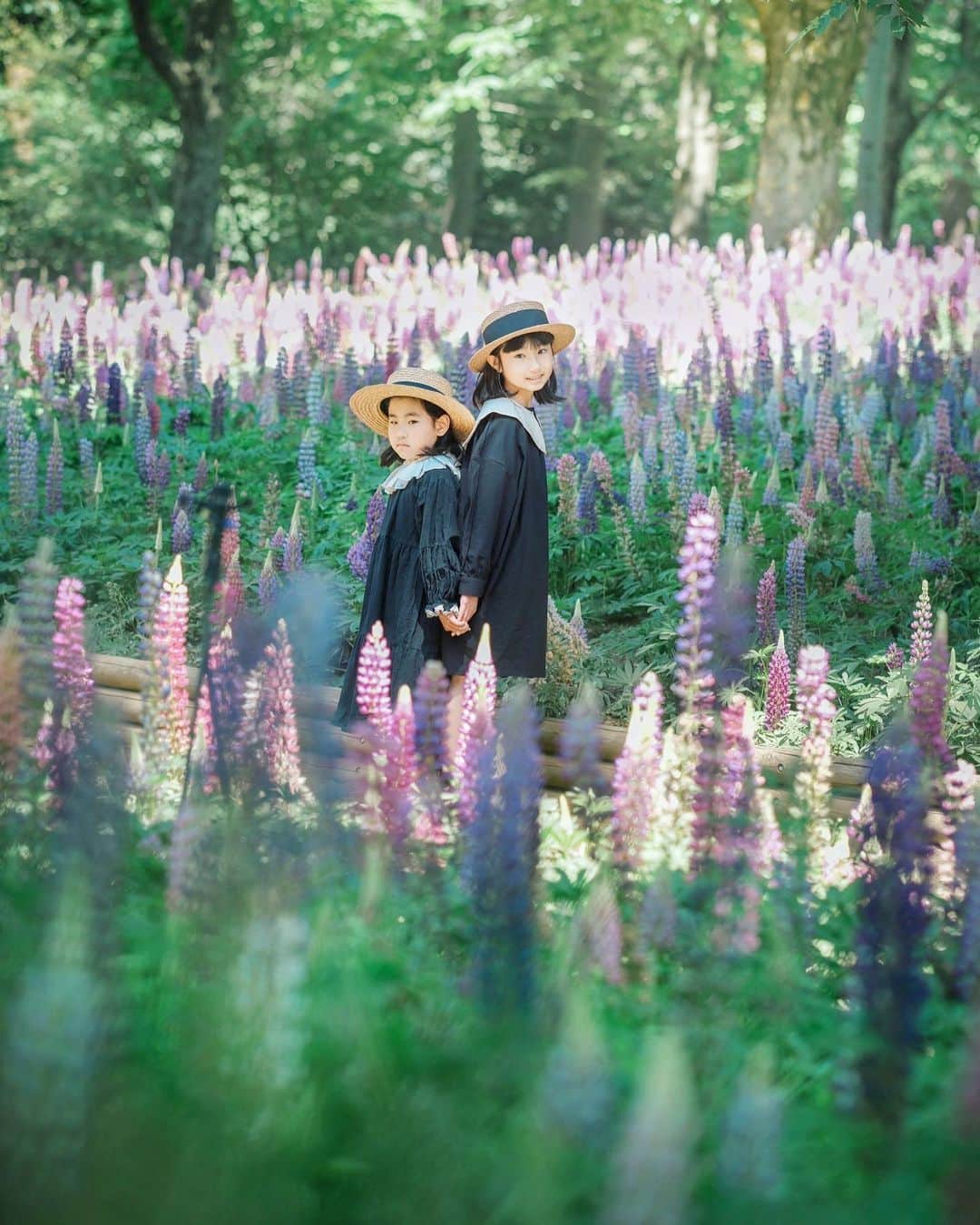 あすかさんのインスタグラム写真 - (あすかInstagram)「・ GWにルピナス畑✨縦ver. なんて可愛いお花なんだ！！！  大阪から遊びに来てた @mamanocamera ちゃんと 森林公園で遊んできたよ。  初めましてのルピナス撮影は あっさり終了して アスレチックをたっぷり堪能。 ママはふたりとも フォトグラファーなもんで こんなステキな場所で 久しぶりの再会で もっと撮影粘りたかったけど あっさり終了してしまた🥹 ・」5月24日 8時17分 - asuuuka_