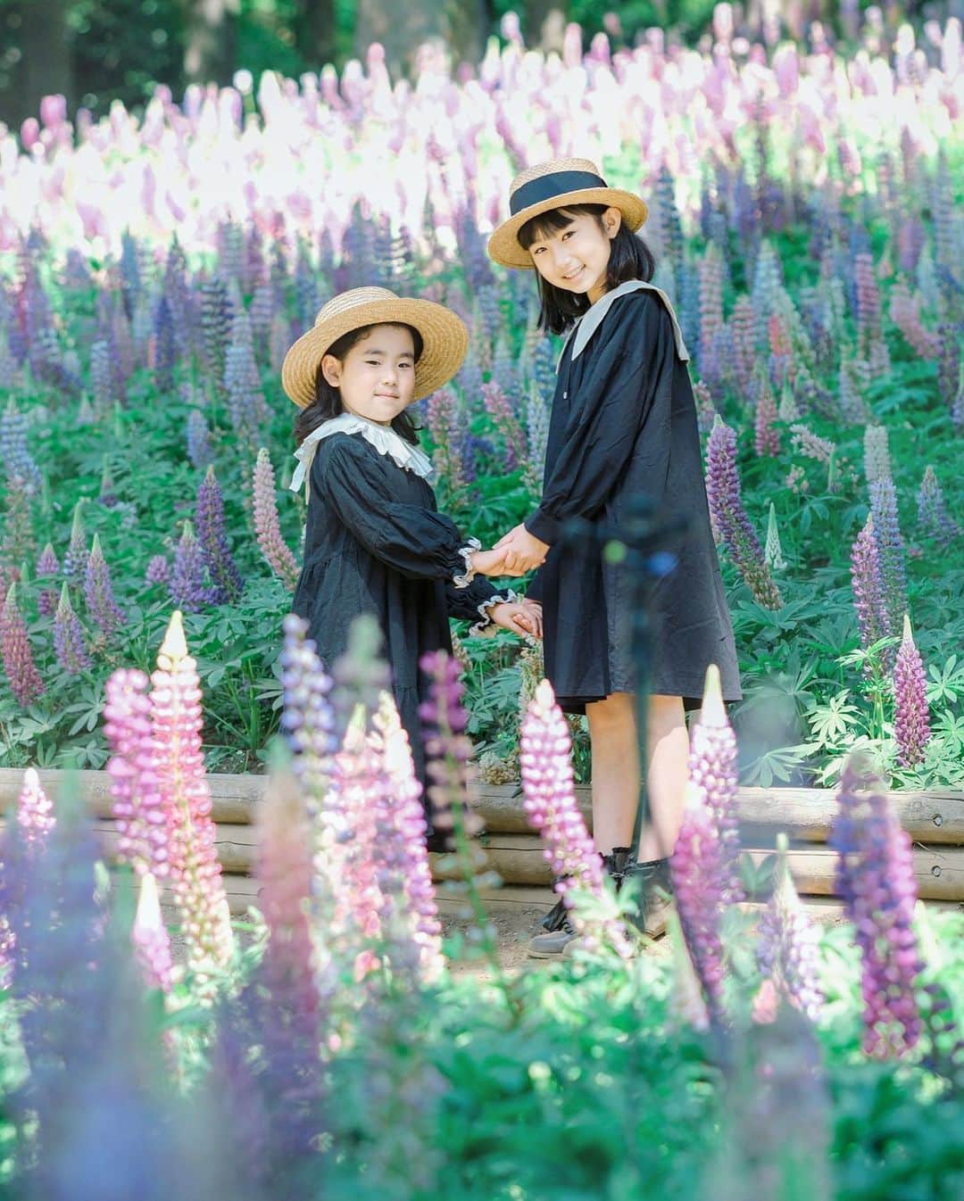 あすかさんのインスタグラム写真 - (あすかInstagram)「・ GWにルピナス畑✨縦ver. なんて可愛いお花なんだ！！！  大阪から遊びに来てた @mamanocamera ちゃんと 森林公園で遊んできたよ。  初めましてのルピナス撮影は あっさり終了して アスレチックをたっぷり堪能。 ママはふたりとも フォトグラファーなもんで こんなステキな場所で 久しぶりの再会で もっと撮影粘りたかったけど あっさり終了してしまた🥹 ・」5月24日 8時17分 - asuuuka_