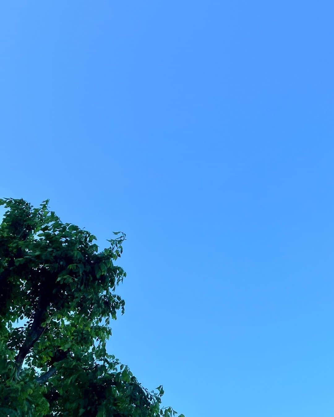 竹井亮介のインスタグラム：「2023年5月24日。 午前7時半頃、南西の空、あと、少し緑。 #今朝の色」
