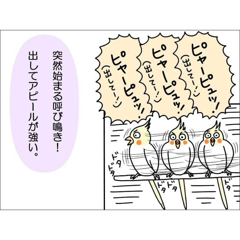 あぽりさんのインスタグラム写真 - (あぽりInstagram)「つい「抱っこしてあげて」と言ってしまった。⁡ ⁡泣いている赤ちゃんを急いで抱っこしに行く…感じです！😆⁡ ⁡⁡ ⁡詳しくは、ストーリー、ハイライト、⁡ ⁡プロフィール(@apori33 )のリンクから⁡ ⁡飛んで読んでみてください♪⁡ ⁡⁡ ⁡昨日のポストにコメントありがとうございました☺️⁡ ⁡私も晴雨兼用の傘なので、一年中持ち歩いています。⁡⁡ ⁡神奈川県は折り畳み傘の所有率日本一らしいですしね！ ⁡でも年季が入ってボロボロになってきたので、新しいのが欲しいところ。⁡ ⁡⁡ ⁡ #オカメインコ  #インコ  #ルチノー  #鳥  #ほっぺ  #ペット  #赤ちゃんみたい  #絵日記  #絵日記ブログ  #イラスト  #イラストエッセイ  #漫画  #漫画ブログ  #あぽり  #ライブドアインスタブロガー  #ライブドア公式ブロガー⁡ ⁡⁡ ⁡」5月24日 8時31分 - apori33