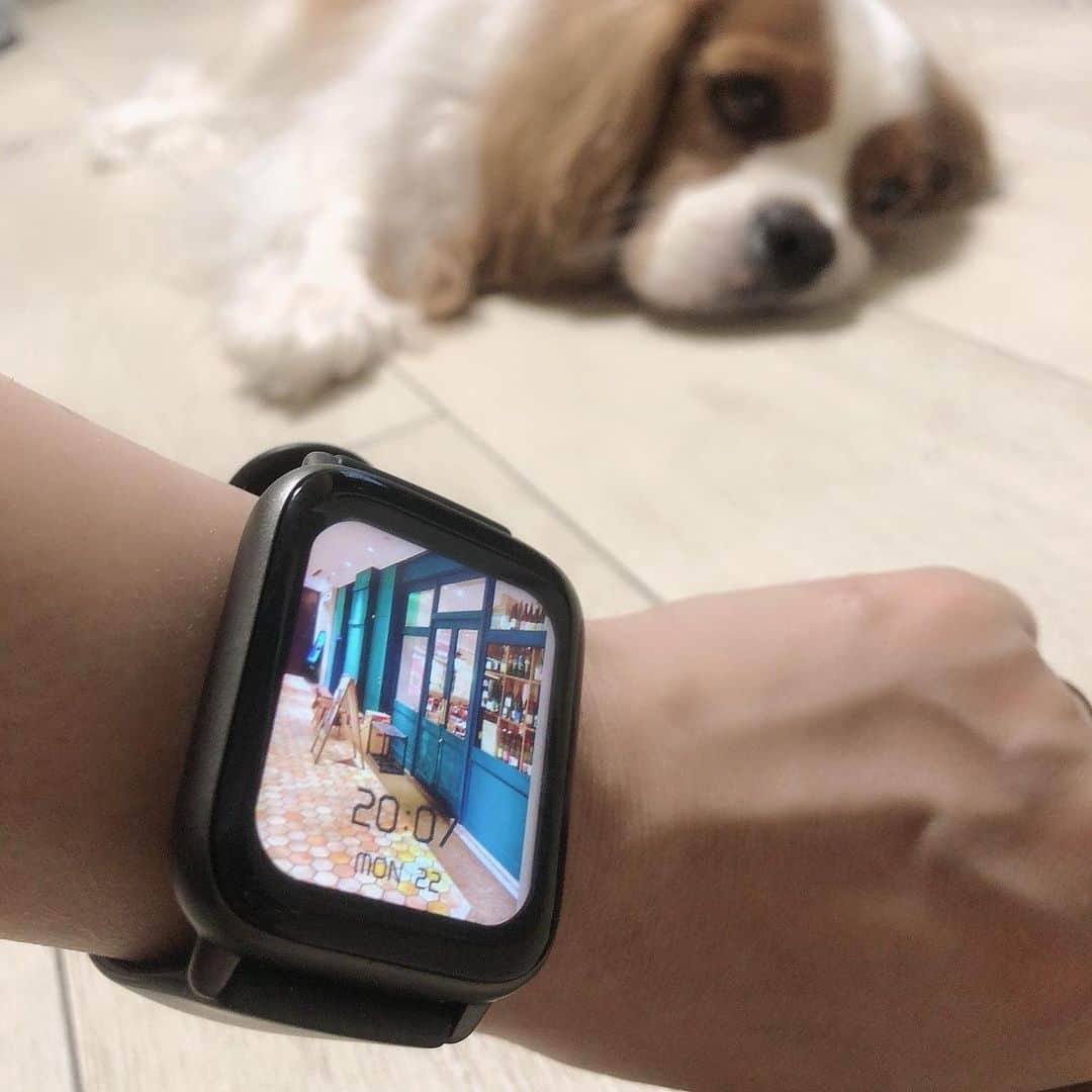 川野友美さんのインスタグラム写真 - (川野友美Instagram)「愛用中のスマートウォッチをご紹介✨ ⁡ ⁡ ⌚️ @brynn_product さん😊 ⁡ ⁡ 家事したり、私は仕事中も水仕事するので気をつけててもバシャっとかかっちゃう時あるんだけど、防水機能がついてて全然平気！ めちゃくちゃ助かるー🥺 ⁡ ⁡ 私がよく使うのはLINEやメッセージの通知、音楽、タイマー👍 仕事中とかも子供から連絡来たら気づく✨ 移動中は必ず音楽聴いてる私、スマートウォッチで操作できるの便利❤️ 料理中に使うタイマーもささっとできて嬉しい機能😆 ⁡ ⁡ いろんな機能が付いてるのに5000円代で買えちゃうのも嬉しいですよねー👍 ⁡ ⁡ ⁡ 気になる方は、まだモニター募集されてますので、@brynn_product にDMしてみて下さい。 ⁡ ⁡ ⁡ #スマートウォッチ #腕時計  #運動好きな人と繋がりたい  #レディース #新生活応援 #新生活応援実績 #体調管理 #モニター募集 #PR #今日のコーデ #ootd #今日のコーディネート #39grammer #インスタグラマー  #公式サンキュグラマー #男の子ママ  #二児ママ  #2人育児  #兄弟  #model  #プチプラ #撮影依頼募集 #フリーモデル #撮影モデル #ママモデル #サロンモデル #shooting #japan #world」5月24日 9時02分 - mamatomochi