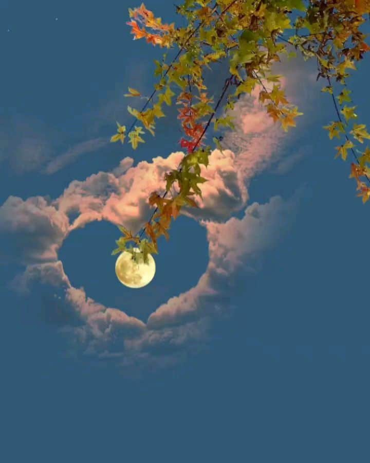 Padgramのインスタグラム：「Beautiful💕💕  Credit @natures._.beautiy   #pgdaily #pgstar#pgcounty #moon #planetgo#planet #planetearth #amazing #awesome #nature #moonlight #moonmagick #vibe #beautiful #beautifulnature」