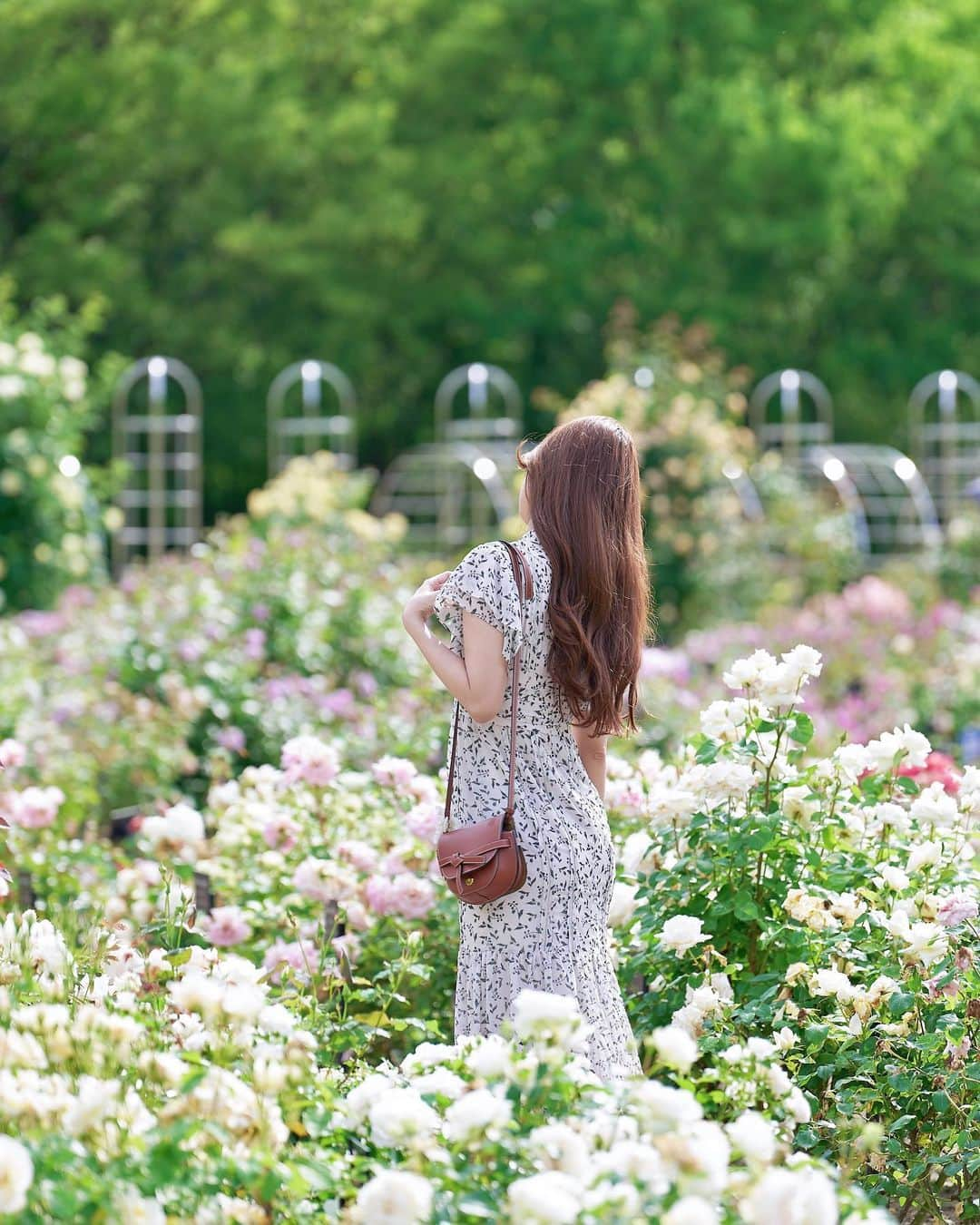 早川実季さんのインスタグラム写真 - (早川実季Instagram)「大好きなローズガーデンへ🕊️🥀 この時期の薔薇は本当に綺麗で、いい香りで気持ちよくて幸せ♡  #herlipto #ローズガーデン #薔薇園  #バラ #hlt5th」5月24日 19時11分 - hayakawa_miki