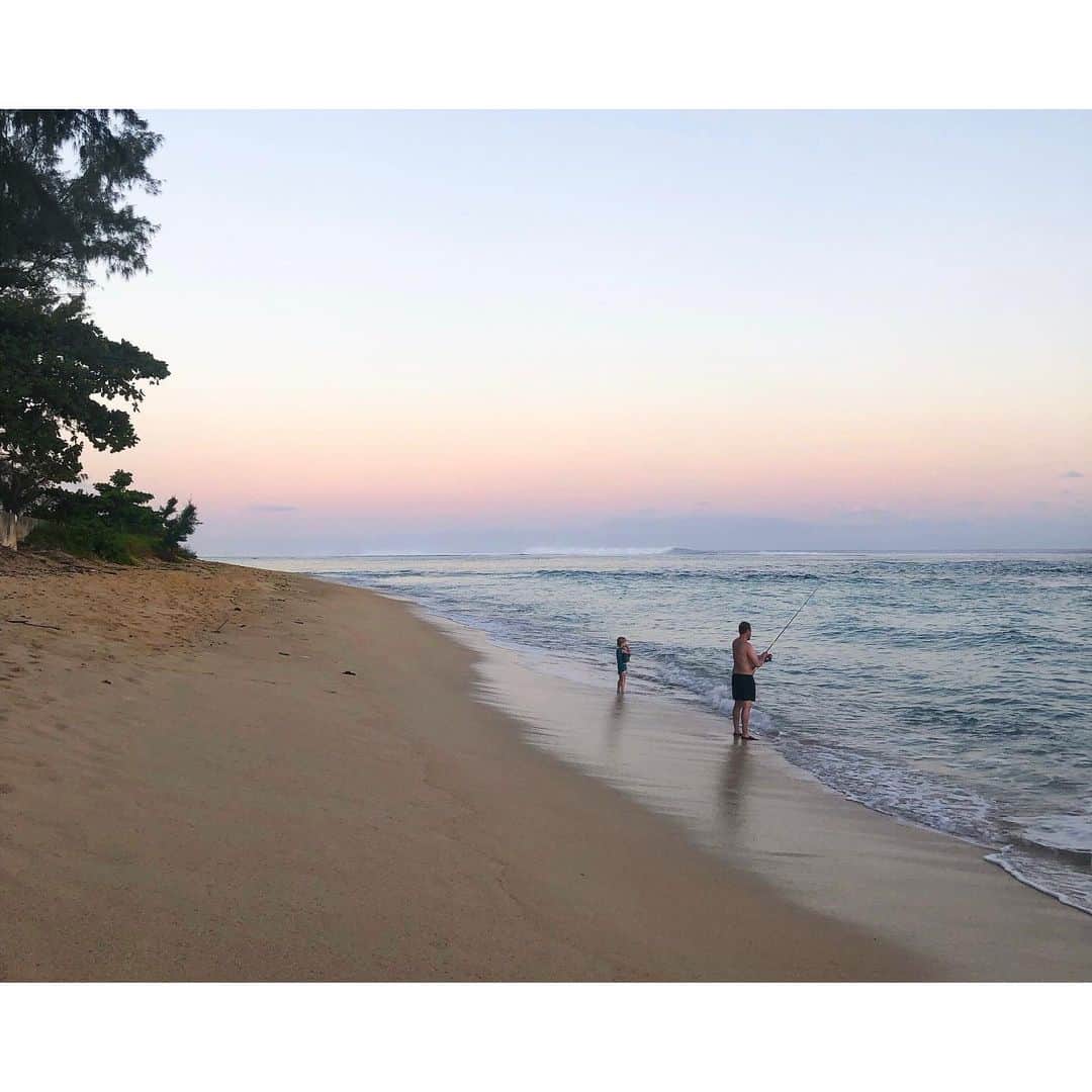 palomaparrotのインスタグラム：「05/21/2023 Pomponette,Mauritius」