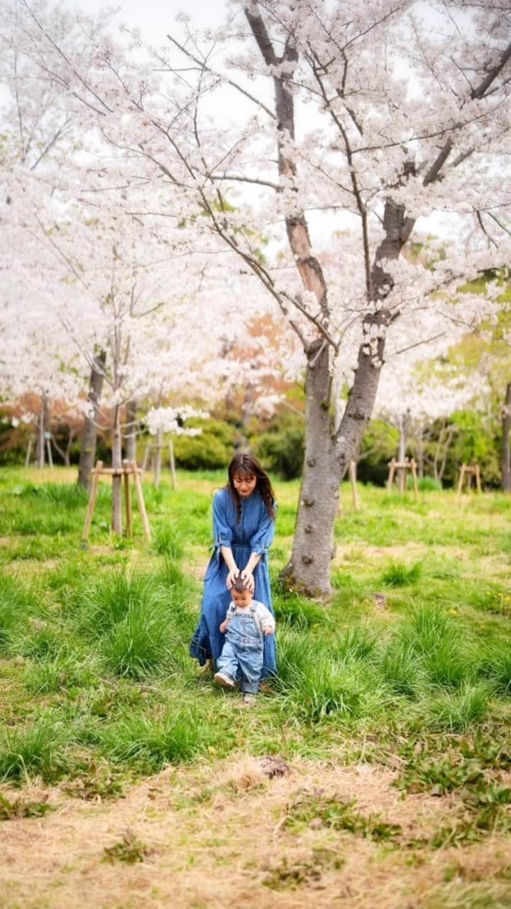 Kozue Kawabeのインスタグラム：「5月も終盤… 春が昨日のことのよう  photo @shinji.k.photo」