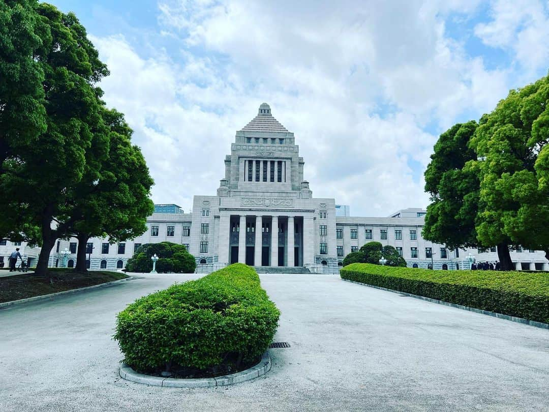 八幡愛さんのインスタグラム写真 - (八幡愛Instagram)「先日、衆議院本会議を傍聴してきました。 本会議なのに与党も野党も宴会してるんかっていうくらい笑い声や野次が飛び交い、 予定調和でダラダラしていた。  この国を引っ張っていく、国民の代表である国会議員の中で、どれだけの人が本気なのか。 皆、緊張感が無さすぎる。 先進国なのに経済ズタボロな上に、大災害だっていつ起きるかわからないこの日本で、危機感を持っている議員はどれだけあの場にいたのだろうか。  本気でこの国を憂い、抗えばバカにされ、 悔しくて傍聴席で涙が出てきた。 この悔しさを私は忘れない。  待ってろよ伏魔殿。  なんて。」5月24日 19時41分 - aiainstein