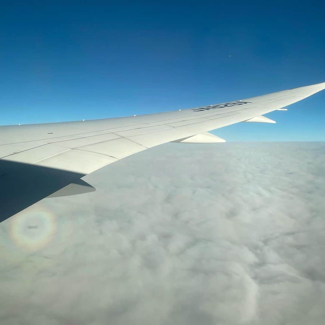 吉井明子さんのインスタグラム写真 - (吉井明子Instagram)「ブロッケン現象に遭遇🌈✈️🌈  飛行機の影の周りに見える虹色の輪です🌈♡  ブロッケン現象とは…太陽などの光が背後から差し込むことで、影が見える側の雲や霧によって光が散乱されて、影（この場合は飛行機の影）の周りに虹のような光の輪が現れるものです。  「ふぉー、ブロッケン現象！ミー散乱の後方散乱！」と心の中で叫ぶ機内✈️上空7,924メートルにて撮影。  #ブロッケン現象 #虹色 #飛行機 #✈️ #🌈 #気象予報士 #気象キャスター #weatherforecaster #기상캐스터　#氣象主播 #吉井明子 #bs4k #週刊4Kふるさとだより #nらじ #マイあさ」5月24日 19時57分 - akiko_yoshii_sunny_rain