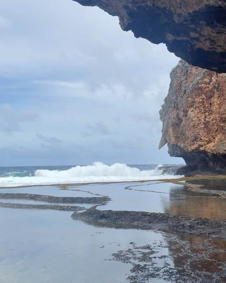 オ・スンア のインスタグラム：「-  Jungle tour was amazing with wonderful view🌴🌴😎🤟🏻🤟🏻  #saipan #saipanplay #Jungletour」