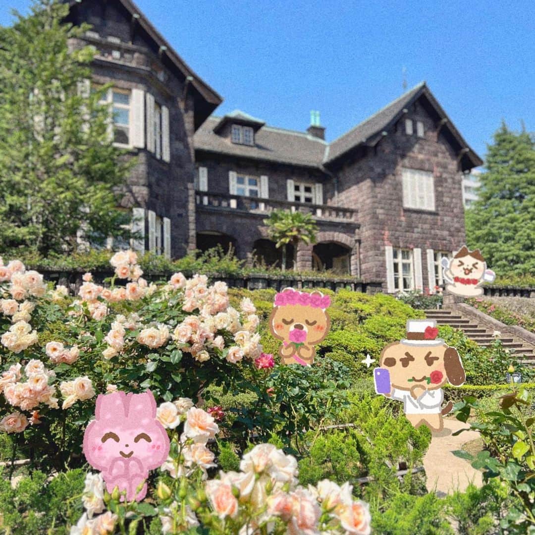 みふねたかしさんのインスタグラム写真 - (みふねたかしInstagram)「バラが綺麗だった  #旧古河庭園」5月24日 20時31分 - irasutoya