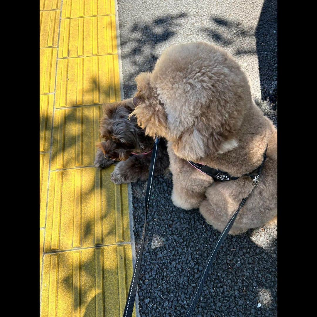 木村拓哉さんのインスタグラム写真 - (木村拓哉Instagram)「⁡ ⁡ ⁡ 「おはようございます❕ 昨日とはうって変わって晴天ですね。 仕事の前に8000歩行ってきましたぁ〜❕ 今日の現場は刺激がありそうで楽しみです。 では、また後ほど❕」 ⁡ PEACE‼︎ ⁡ STAYSAFE! ⁡ 拓哉 #木村拓哉#TakuyaKimura」5月24日 11時49分 - takuya.kimura_tak