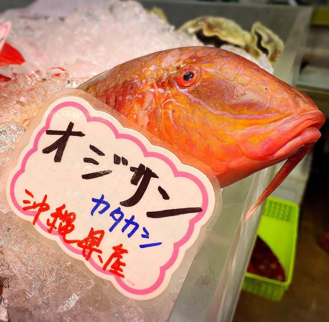 とぎもちさんのインスタグラム写真 - (とぎもちInstagram)「. 【沖縄 🇯🇵 오키나와】  牧志公設市場の1階の市場にある 魚久鮮魚さんでお魚、貝を購入し 2階にある食堂でお昼ごはん♪  欲張って3種類選んだら 2万円超えた😂💦  でも沖縄ならではのお魚や貝 イラブチャー、夜光貝など 色々食べれて美味しかった😍  お刺身やバター炒め、お味噌汁など いろんなのに分けて使ってくれました♪  #魚久鮮魚店 #魚久鮮魚 #牧志公設市場 #豊年 #国際通り #那覇 #沖縄 #日本 # 沖縄旅行#国際通りグルメ #那覇グルメ #沖縄グルメ #沖縄フード #沖縄料理 #沖縄名物 #우오히사센교 #마키시코우세츠이치바 #나하 #오키나와 #일본 #とぎもち沖縄 #とぎもち牧志公設市場 #とぎもち魚久鮮魚 #とぎもちお刺身 #とぎもち魚」5月24日 12時14分 - togistagram