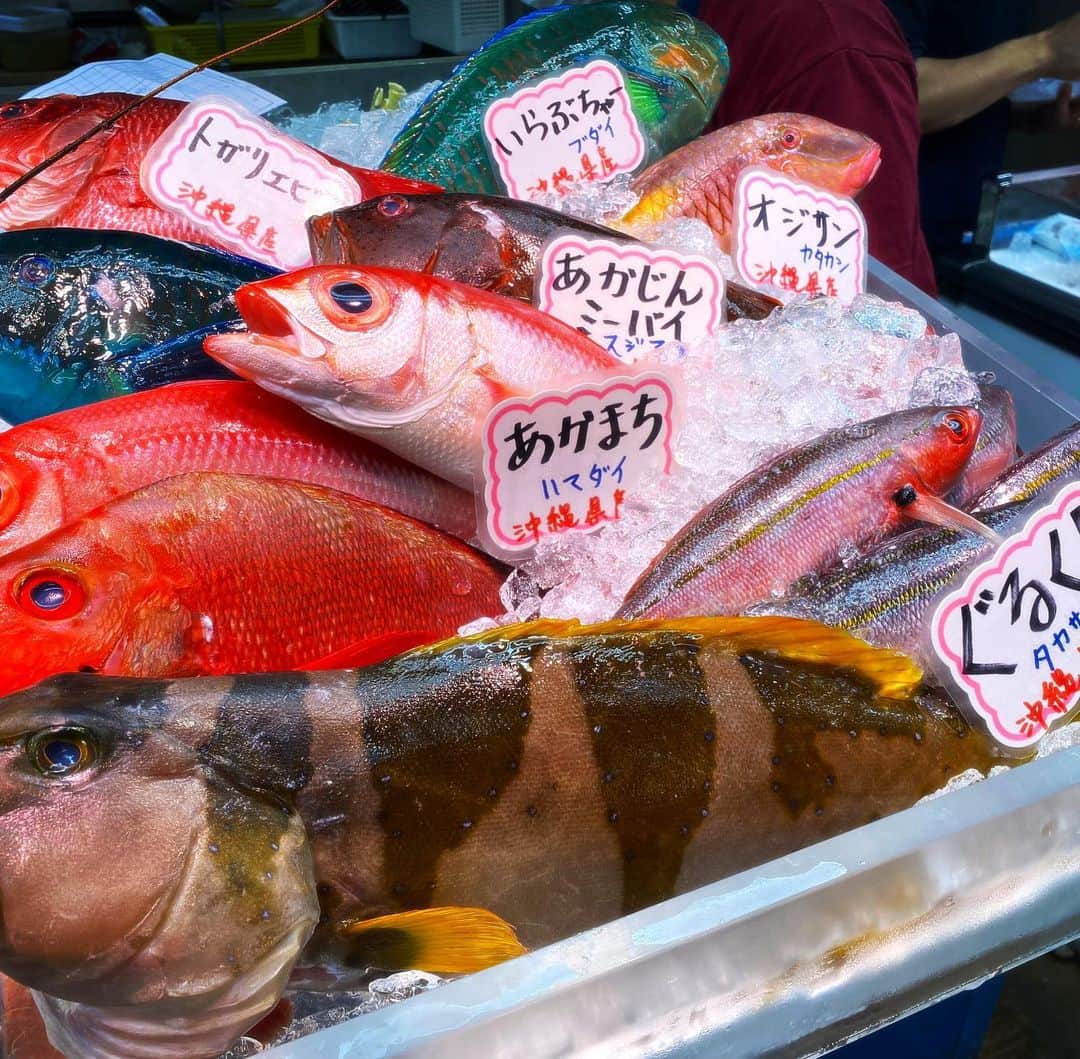 とぎもちさんのインスタグラム写真 - (とぎもちInstagram)「. 【沖縄 🇯🇵 오키나와】  牧志公設市場の1階の市場にある 魚久鮮魚さんでお魚、貝を購入し 2階にある食堂でお昼ごはん♪  欲張って3種類選んだら 2万円超えた😂💦  でも沖縄ならではのお魚や貝 イラブチャー、夜光貝など 色々食べれて美味しかった😍  お刺身やバター炒め、お味噌汁など いろんなのに分けて使ってくれました♪  #魚久鮮魚店 #魚久鮮魚 #牧志公設市場 #豊年 #国際通り #那覇 #沖縄 #日本 # 沖縄旅行#国際通りグルメ #那覇グルメ #沖縄グルメ #沖縄フード #沖縄料理 #沖縄名物 #우오히사센교 #마키시코우세츠이치바 #나하 #오키나와 #일본 #とぎもち沖縄 #とぎもち牧志公設市場 #とぎもち魚久鮮魚 #とぎもちお刺身 #とぎもち魚」5月24日 12時14分 - togistagram