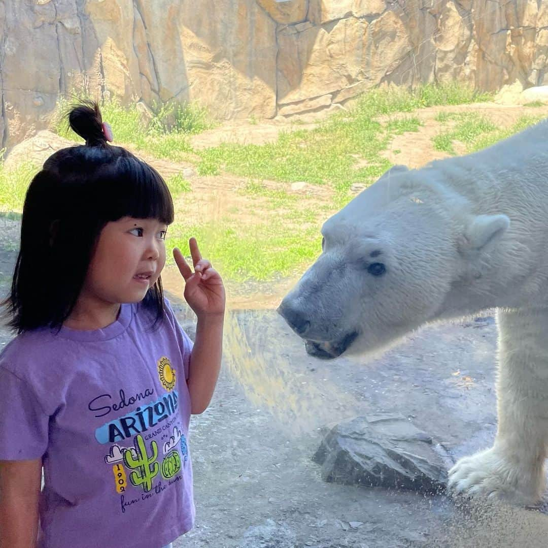 ぽるぽるちゃんさんのインスタグラム写真 - (ぽるぽるちゃんInstagram)「シロクマさん。  だいたい遠くの方でぐでーんてしてるイメージだけど、初めてこんなに近くで見て、大迫力のシロクマさんにびっくりのふたりでした🙆🏻‍♂️  #こどものいる暮らし #ぽる」5月24日 13時32分 - poruporuchan