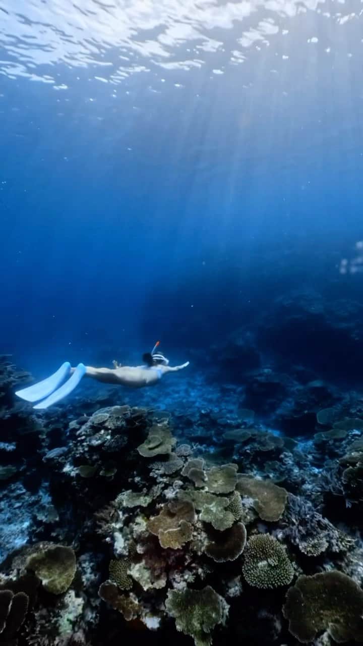 宮崎絹子のインスタグラム：「under water🐠🪼  宮古のお友達が始めた @wonder_full_marine の 船に乗って伊良部で 海遊び✨  宮古島に行ったら 船で海に出て 珊瑚の綺麗さをみて欲しい🪸  楽しかった〜また行きたい❤︎ #underwater #海遊び #underthesea #skindiving #スキンダイビング」