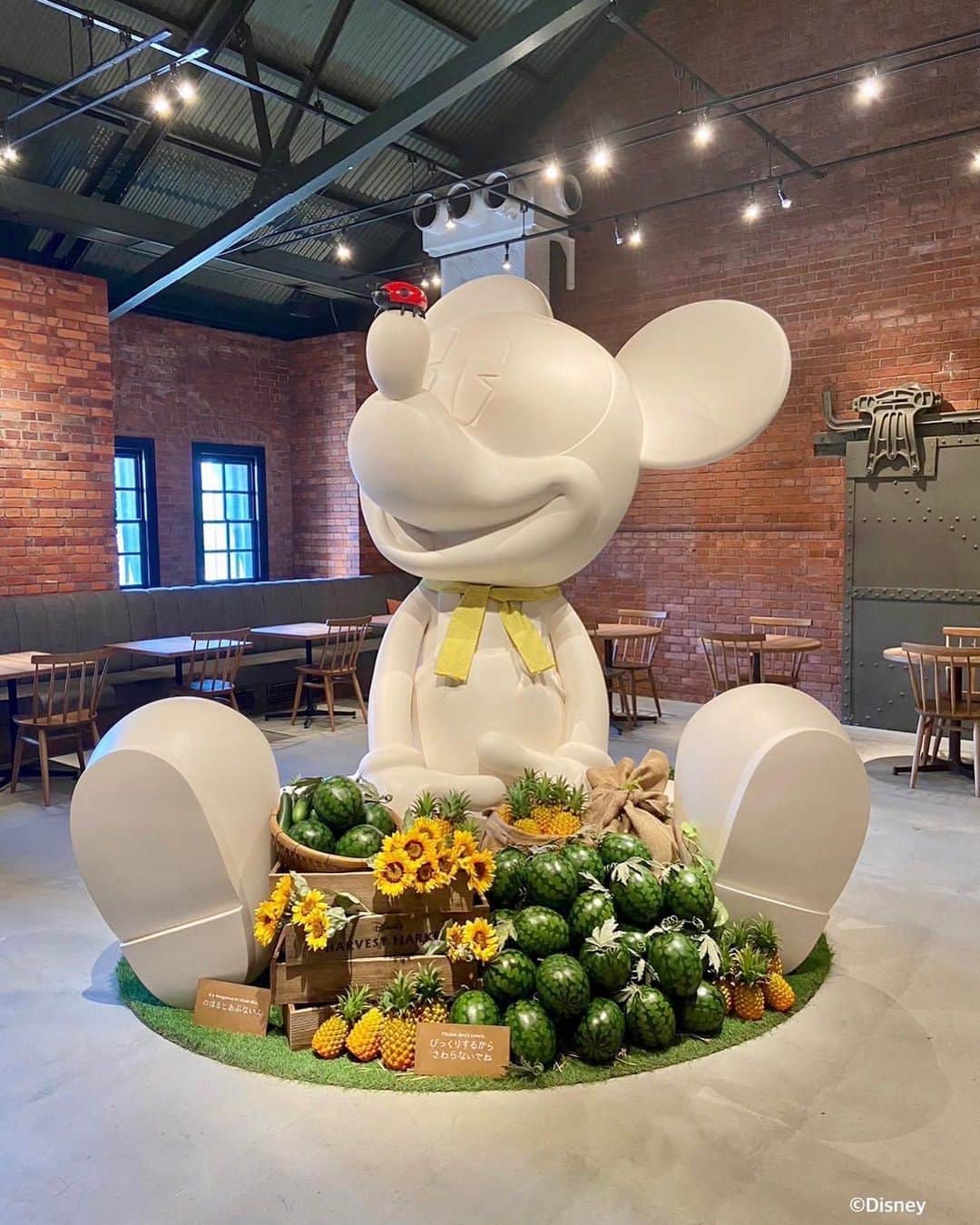 横浜赤レンガ倉庫のインスタグラム：「店内が夏らしいスイカバージョンに模様替え🍉🍉🍉 Disney HARVEST MARKET By CAFE COMPANY(2号館3階)  色とりどりの夏野菜を使った夏限定アフタヌーンティーセットや、ミッキー、ドナルドをイメージした夏限定のSPドリンクもご用意しています🍹  #横浜赤レンガ倉庫  #赤レンガ倉庫 #横浜赤レンガ #redbrickwarehouse  #横浜 #yokohama #みなとみらい  #みなとみらいグルメ  #disney #ディズニー  #disneyharvestmarket」