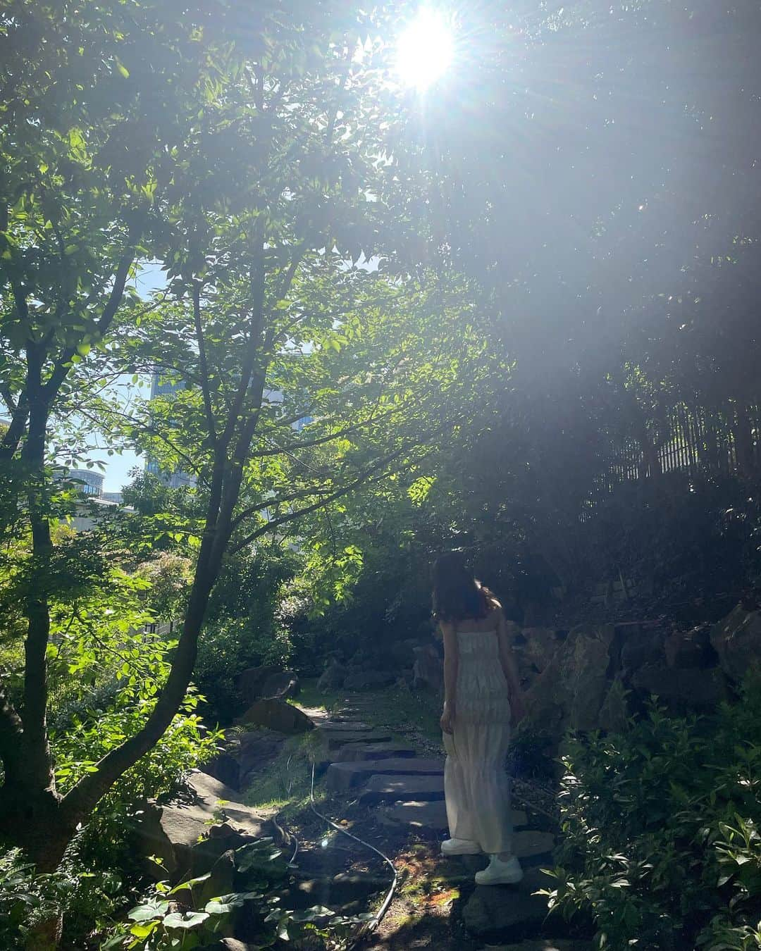 木下ココさんのインスタグラム写真 - (木下ココInstagram)「🌲👟🍀☀️ ・ ・ ・ #mood #ootd #summerdress  #summeroutfit  #夏コーデ  #ワンピース #フェミニンコーデ  #大人女子 #木下ココ」5月24日 16時09分 - cocot_chan