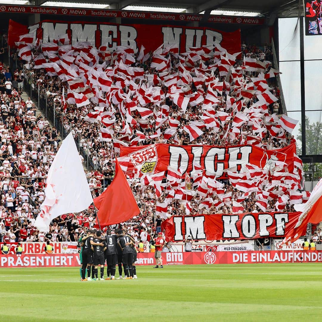 VfBシュトゥットガルトさんのインスタグラム写真 - (VfBシュトゥットガルトInstagram)「🤍❤🤍  _ #VfB #bundesliga #vfbstuttgart #vfbstuttgart1893 #auscannstatt #furchtlosundtreu #VfBInsta」5月24日 16時11分 - vfb