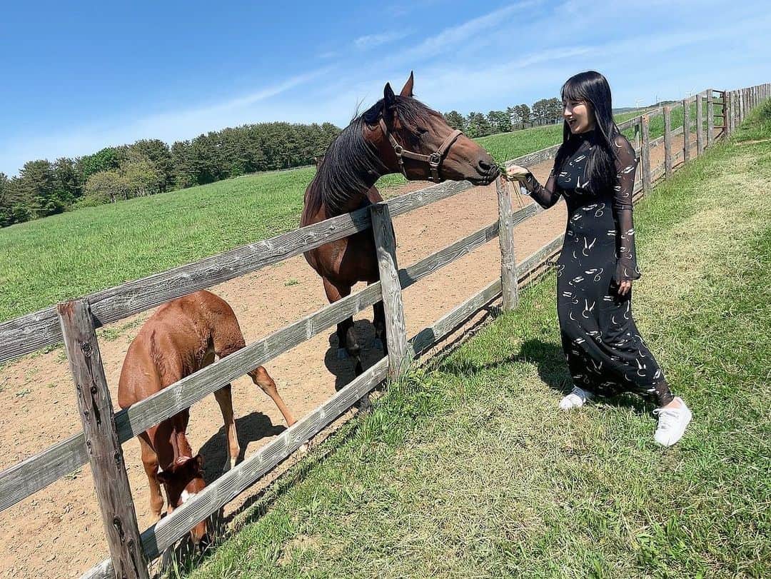 熊谷麻音さんのインスタグラム写真 - (熊谷麻音Instagram)「･ ･ ･  【  #風の丘ファーム 】  ここは未来の競走馬がいる牧場です🐴  本当にかっこよくて優しい目をしている🥺💓 お馬さんが大好きな私は本当に幸せで幸せです。  牧場がきっと私にとって1番好きな場所🌱  いつか牧場に住みたい。  私が好きな競走馬の子供もいましたっ🏇  親子馬はずっとくっついてた💓   #横浜町  #青森  #青森県  #競走馬  #競馬  #競輪女子  #牧場  #青森観光  #青森旅行  #馬好きな人と繋がりたい  #自然大好き  #自然がいっぱい  #自然が好き  #自然が好きな人と繋がりたい  #アウトドア女子  #牧場巡り  #牧場好き」5月24日 16時52分 - mao_kumagai
