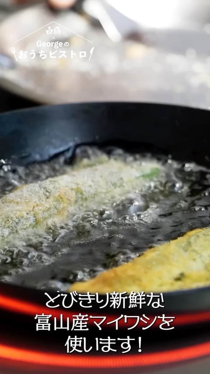 白鶴酒造株式会社のインスタグラム：「🍶 富山湾マイワシで作る「梅香る絶品フライ」 https://www.pride-fish.jp/JPF/pref/detail.php?pk=1485139101  ★全編はこちらから★ https://youtu.be/5P19vaA_M6g  ◆材料 マイワシ（1尾） 梅干し（1個） 砂糖（小さじ1/2） かつおだし（少々） みりん（小さじ1/2） 卵（1個） 小麦（適量） パン粉（適量） 大根おろし（適量） 大葉（2枚）  ◆作り方 ① イワシを3枚におろす ②梅干しは種を取り、粗めにたたき 　砂糖、かつおだし、みりんを合わせる ③おろしたイワシに塩、こしょうを②を 　片方の身に塗り、もう一枚の身をサンドして 　魚の形に戻す ④大葉で包んだ後に小麦をつけ卵にくぐらし、 　パン粉をつけて180度の油で揚げる ⑤さらに大根おろしを添えて完成  【紹介したお酒】 白鶴まる https://www.hakutsuru.co.jp/maru/  #白鶴 #George #魚」