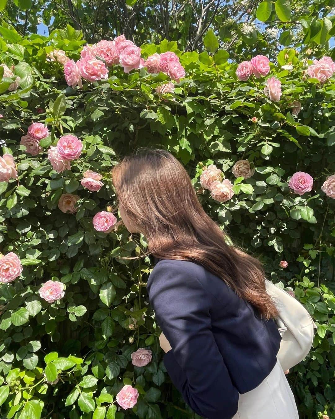 RiLiさんのインスタグラム写真 - (RiLiInstagram)「天気がいい日に行きたい🪄 【バラ園フォト】🌹  お花がかわいいこの季節🎵 いまっぽカワイイ写真を 撮りたいならバラ園🌹が おすすめだよ♡  バラに囲まれてる写真は 映えること間違いナシ〰️✨ お気に入りのコーデで 行ってみてね💭  Edit by RiLi編集部🐰 aoi　＠shiia14  🤍🤍🤍  RiLiで紹介してもらいたい子は #rili_tokyo を付けてね❕  Special Thanks💐 Photo by⁣⁣  @haeyanam @notnuffrice @saco27_ @__003iki @mixmym @kico_sh @_ponsuke___  #バラ園 #バラフォト #お花畑フォト #韓国ファッション #フレンチガーリー #韓国ガーリー #写真の撮り方 #カーディガンコーデ #ブラウスコーデ #친스타그램 #rili_tokyo #おしゃれさんと繋がりたい #お洒落さんと繋がりたい #ファッション #패션스타그램 #ootd #outfit」5月24日 18時00分 - rili.tokyo
