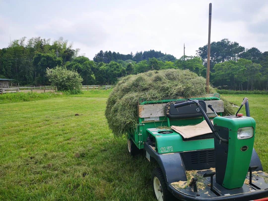 佐藤藍子さんのインスタグラム写真 - (佐藤藍子Instagram)「皆さん、こんばんわ✨  そして久しぶりになってしまいましたねっっ  雨☔が続いたり、いきなり夏日かと思ったら肌寒かったり、、、  ライフワークの草刈りも、なかなかタイミングつかめずにいたら、かなり背が高くなったので、集めてお馬🐴さん達のご飯になりました🌿🍴 約30頭分👍 みんな残さず食べてくれました🍀  いつもありがとうございます😌  #草原#草刈り#ミックス犬#ゴールデンドゥードゥル#馬のご飯#aikosato#佐藤藍子」5月24日 18時36分 - sato_aiko_official