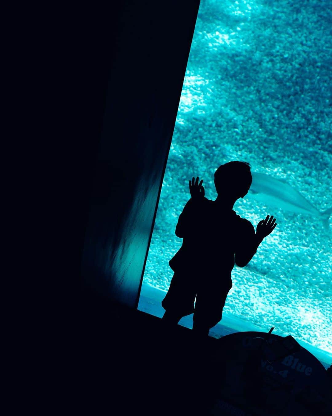 荒眞人さんのインスタグラム写真 - (荒眞人Instagram)「美ら海水族館があまりにも 綺麗すぎたんですけど、 ジンベエよりも光が すごく綺麗な水族館だなって 今はすごく思います。  #美ら海水族館  #美ら海  #水族館 #水族館好き  #沖縄旅行 #沖縄」5月24日 18時31分 - arca_0105