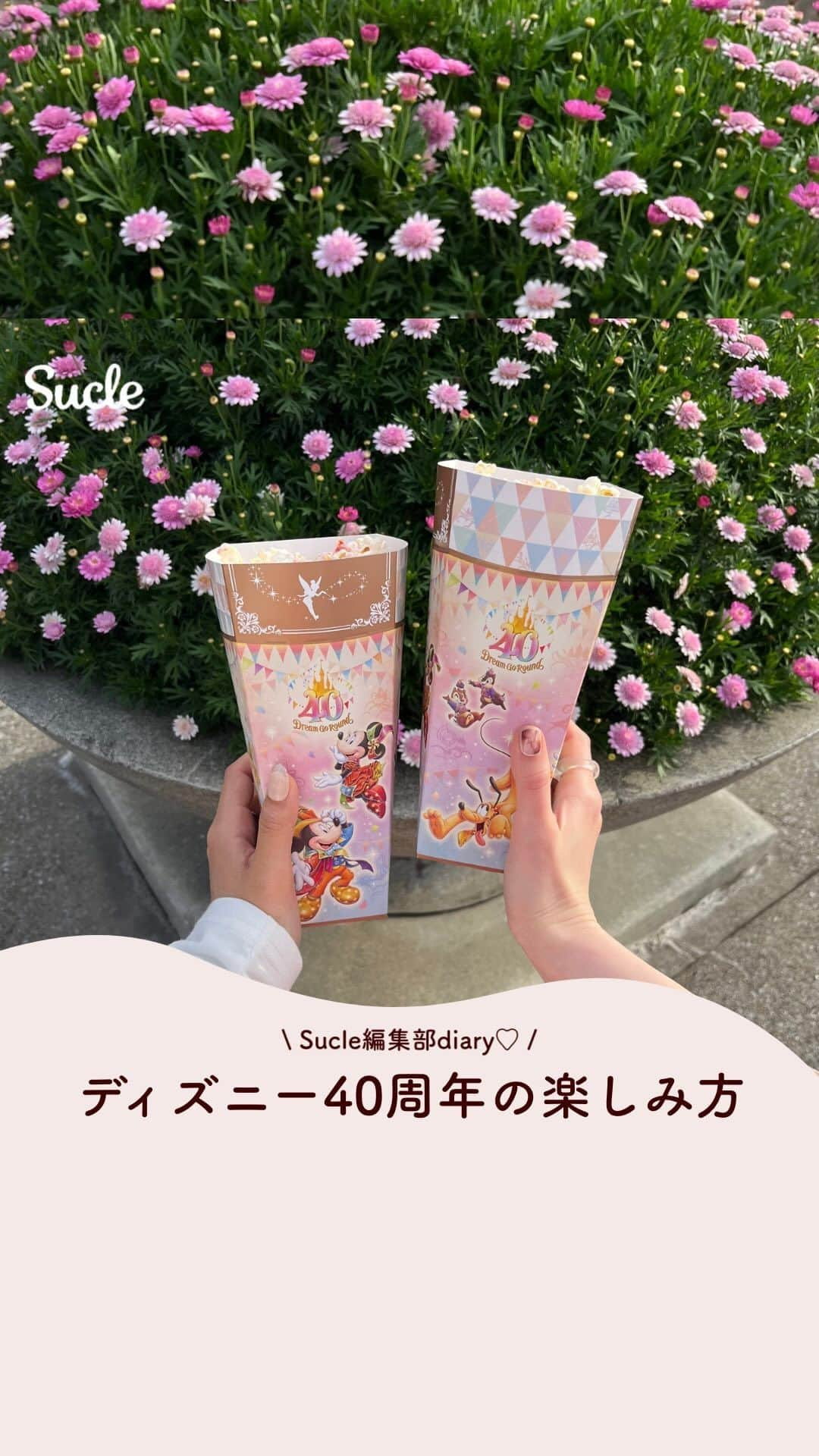 SUCLEのインスタグラム