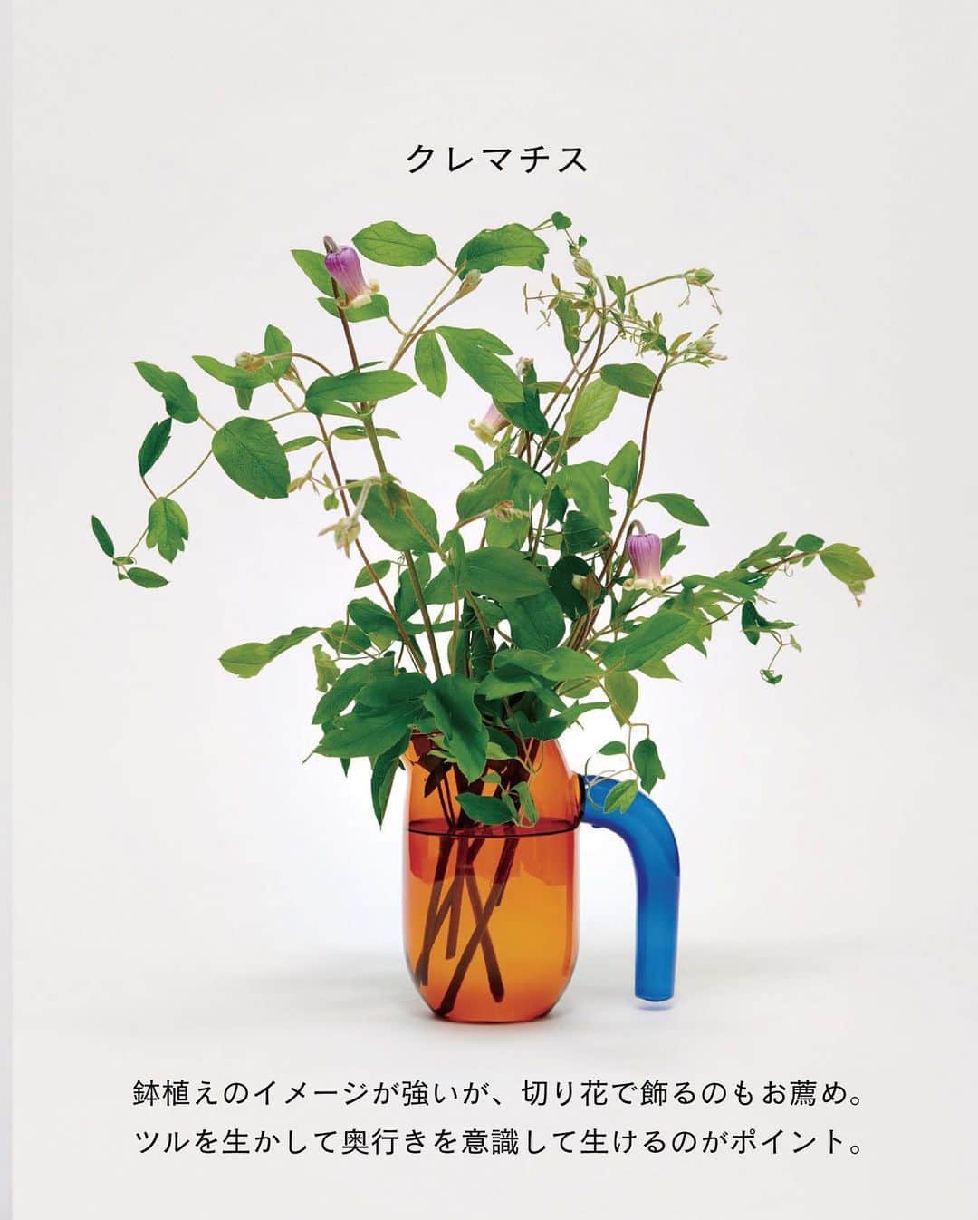 ELLE DECOR JAPANさんのインスタグラム写真 - (ELLE DECOR JAPANInstagram)「トレンド感あるセレクトで支持を集めるソルソホーム。今回取材したのは4月にリニューアルした二子玉川の「ソルソホームフタコ」。従来の植物コーナーに加えて、切り花を扱う「オールグッドフラワーズ」と世田谷市場直送野菜を使ったカフェ「グッドグリーンシングス」が新たに併設され、グリーン、花、食を楽しめる施設に。  そんな人気ショップに、これからの季節におすすめの花を教えてもらった。  『エル・デコ』6月号は「花と暮らす」。切り花だけが花の楽しみ方じゃない。新しいスタイルで花を愛でるためのテクニックや人気フローリストが自ら実践している花との暮らし方のヒントなどが満載です！  Photo：Shuhei Shine  #ソルソホームフタコ #グリーンショップ #エルデコ #最新号 #建築好き #インテリア好き  #ELLEDECORJAPAN  #花と暮らす #花のある生活 #暮らし #花のある暮らし #フラワーショップ」5月24日 18時58分 - elledecorjapan