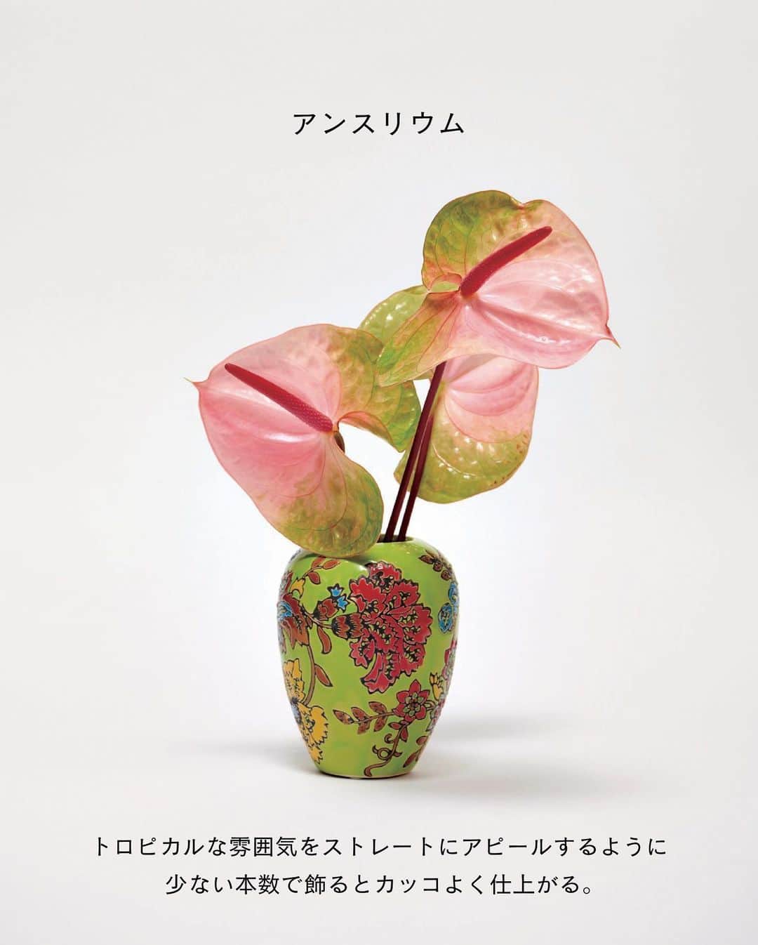 ELLE DECOR JAPANさんのインスタグラム写真 - (ELLE DECOR JAPANInstagram)「トレンド感あるセレクトで支持を集めるソルソホーム。今回取材したのは4月にリニューアルした二子玉川の「ソルソホームフタコ」。従来の植物コーナーに加えて、切り花を扱う「オールグッドフラワーズ」と世田谷市場直送野菜を使ったカフェ「グッドグリーンシングス」が新たに併設され、グリーン、花、食を楽しめる施設に。  そんな人気ショップに、これからの季節におすすめの花を教えてもらった。  『エル・デコ』6月号は「花と暮らす」。切り花だけが花の楽しみ方じゃない。新しいスタイルで花を愛でるためのテクニックや人気フローリストが自ら実践している花との暮らし方のヒントなどが満載です！  Photo：Shuhei Shine  #ソルソホームフタコ #グリーンショップ #エルデコ #最新号 #建築好き #インテリア好き  #ELLEDECORJAPAN  #花と暮らす #花のある生活 #暮らし #花のある暮らし #フラワーショップ」5月24日 18時58分 - elledecorjapan