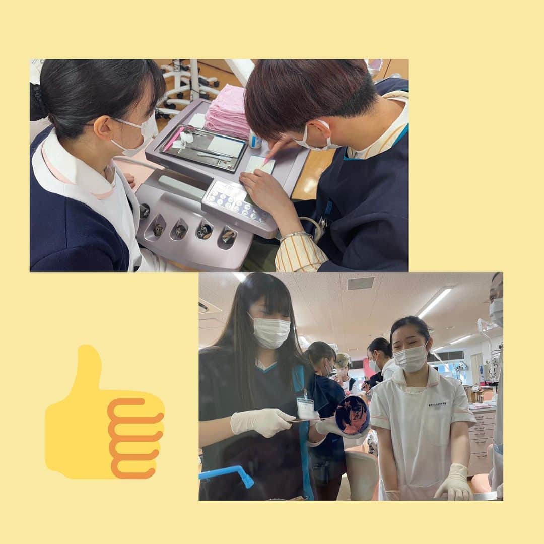 新東京歯科技工士学校さんのインスタグラム写真 - (新東京歯科技工士学校Instagram)「先日、歯科技工士学校と歯科衛生士学校の合同実習を行いました😊 新東京の特長は在学中からチーム医療を意識できること✨ 互いに教え合うコミュニケーションを通して専門職としての身構え、気構え、心構えを育ました☀️ #歯科技工士 #歯科衛生士 #専門学校 #歯科技工士の卵」5月24日 19時05分 - shintokyodental