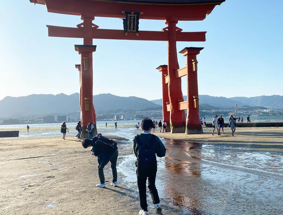 中野明海さんのインスタグラム写真 - (中野明海Instagram)「大好きな季節。  田植えが終わったばかりの田んぼの水面に 青空と 遠くの富士山が映り込む。🙏🏻✨  麦畑は黄金色 収穫の時期✨✨✨✨  おばあちゃんのお見舞いに全員集合の広島。  その後安芸の宮島へ。  美しい日本🗾  #穏やかな日々であります様に #🗻」5月24日 21時13分 - akeminakano__official