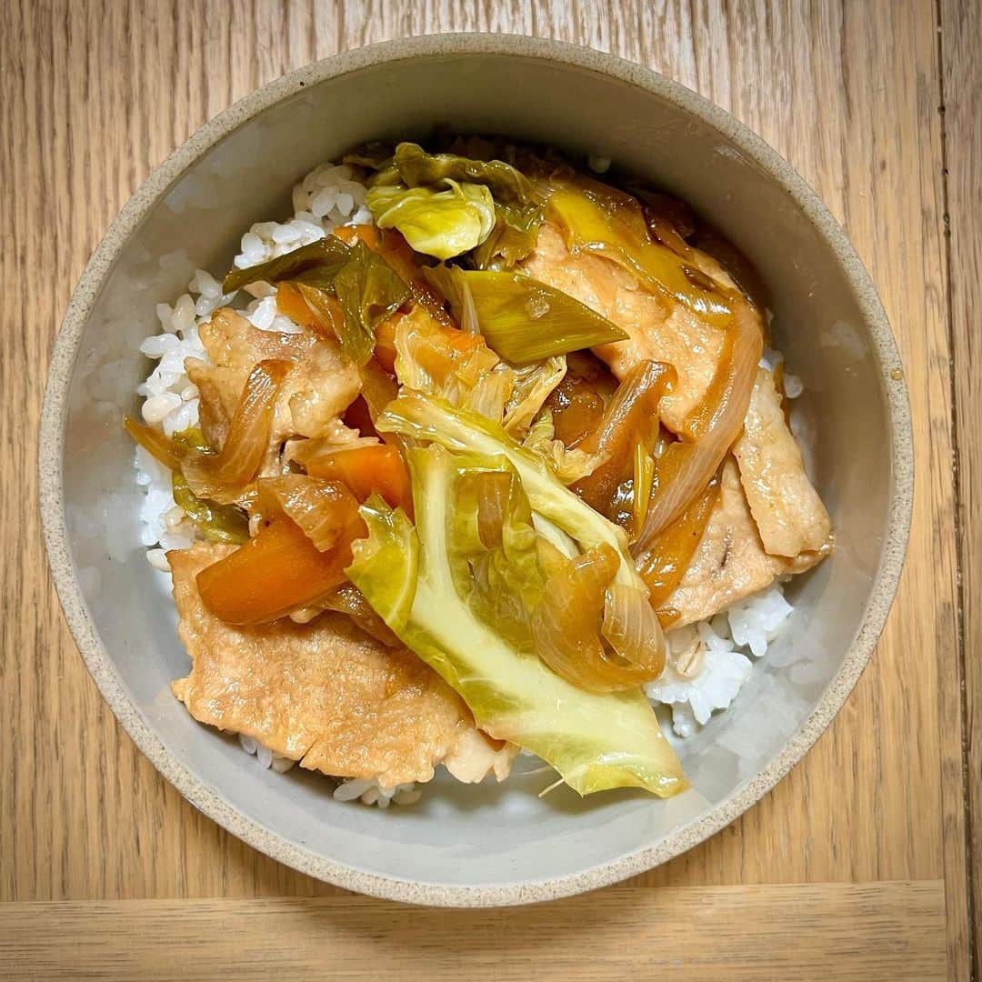 竹井亮介のインスタグラム：「2023年5月24日。 野菜たっぷりさっぱり豚丼。 #とっつぁん料理」