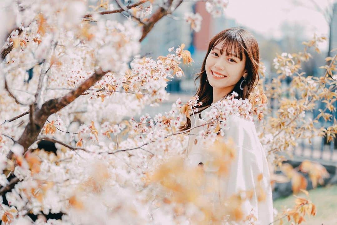 粕谷音のインスタグラム：「桜の季節終わっちゃったけど、、😢🌸  素敵なお写真撮っていただいたの載せ忘れてた😣」
