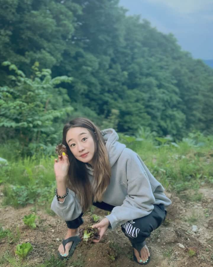のインスタグラム：「#내텃밭 🌱 #내첫농사 #내첫수확 #가평언니」