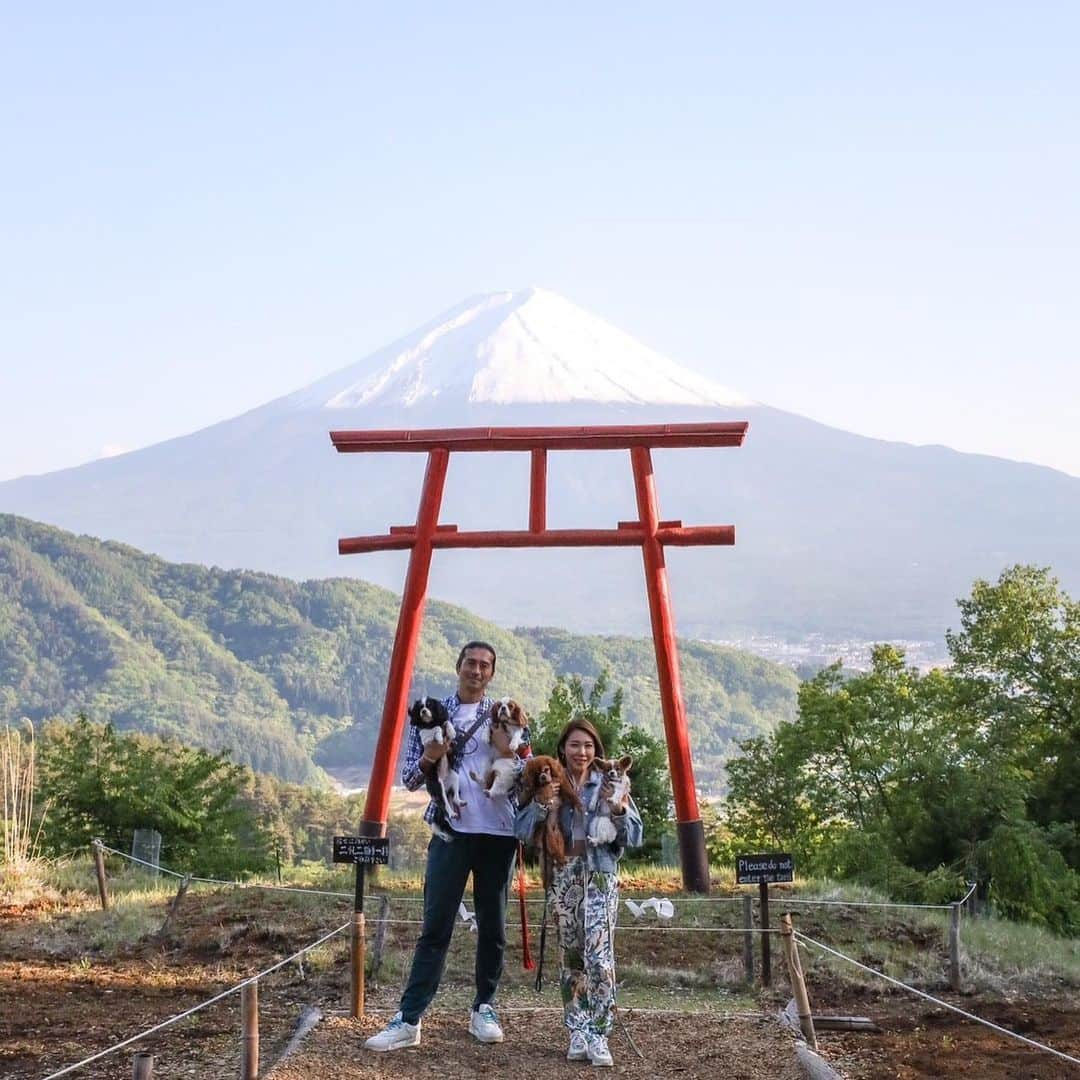 長谷川朋美さんのインスタグラム写真 - (長谷川朋美Instagram)「4ワン連れてロードトリップ♪ 前から一度してみたかったこと✨ 叶いましたー🥹  まずこちらは河口湖❣️  天気が良くてとにかく富士山が くっきり、ぱっつんっ！🗻  この日は私たちの吉方位旅行でもあり 2人でダブル吉方位😆  運気爆上がりそうな写真をゲット👍  4ワンとの家族写真撮れて嬉しい☺️❤️  ロードトリップはまだまだ続きまーす🚙  #山梨県 #yamanashi #河口湖 #kawaguchiko #mtfuji #富士山 #開運 #運気爆上げ #吉方位 #吉方位旅行 #ロードトリップ #浅間山神社 #天空の鳥居」5月24日 21時36分 - hasegawa.elena.tomomi